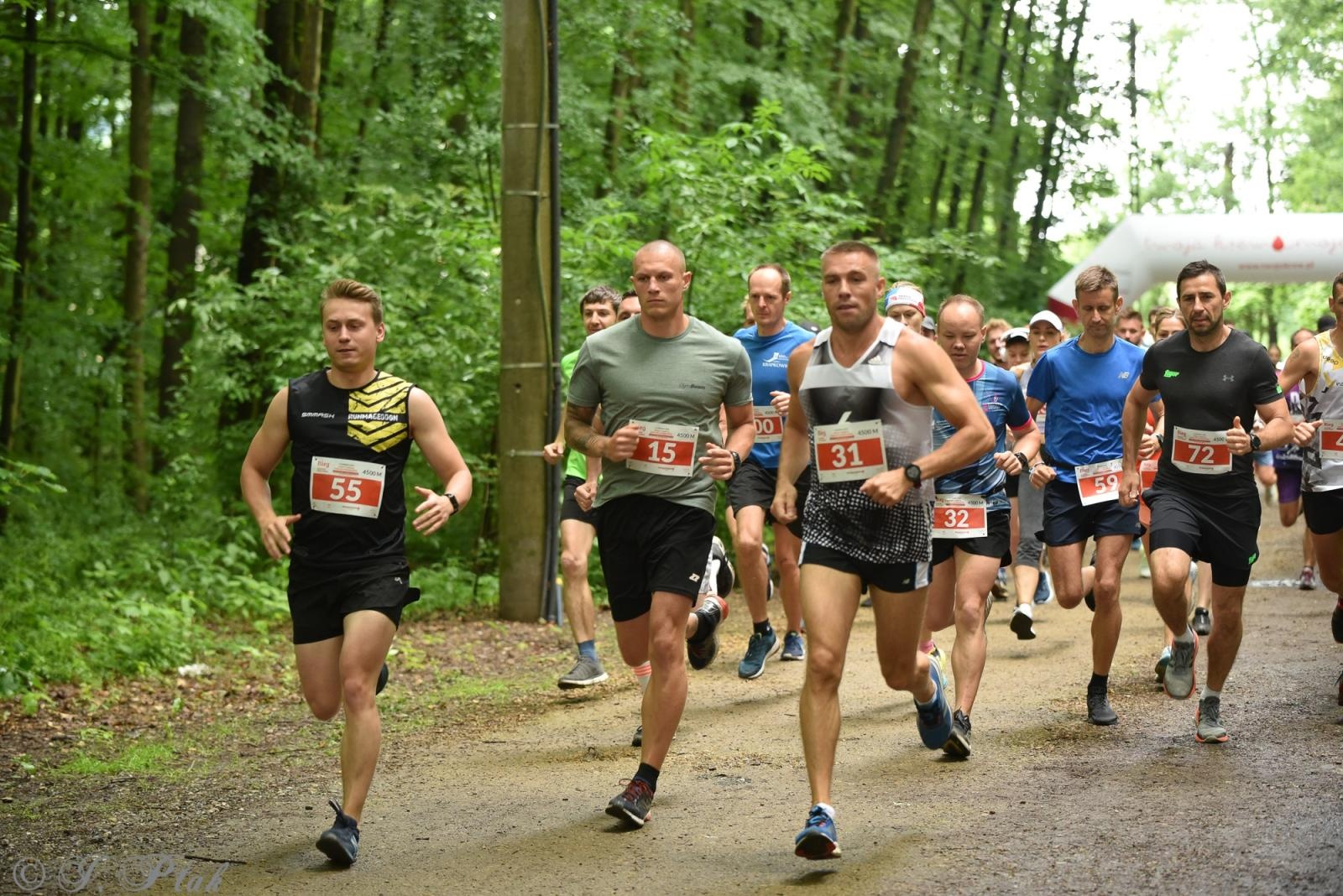 Zdjęcie w galerii na portalu naszraciborz.pl: Racibórz tętni dobrem. Honorowe krwiodawstwo wsparte biegiem wiadomości z regionu