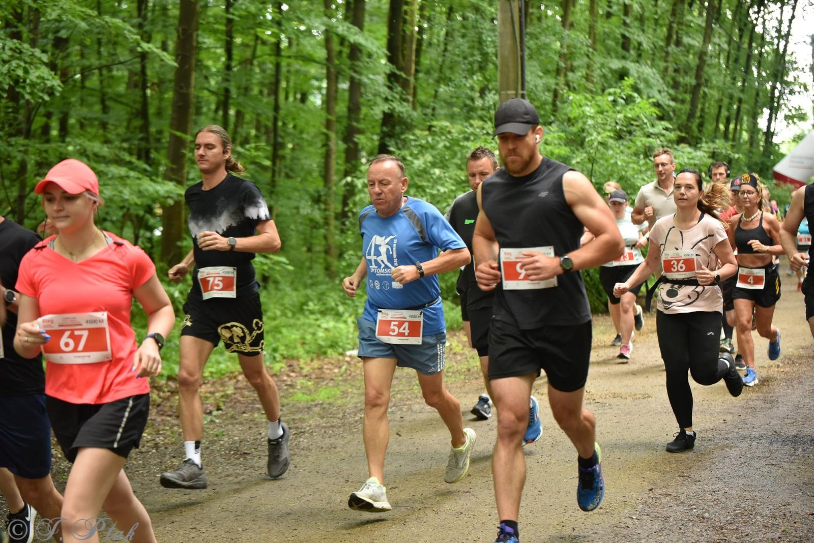 Zdjęcie w galerii na portalu naszraciborz.pl: Racibórz tętni dobrem. Honorowe krwiodawstwo wsparte biegiem wiadomości z regionu