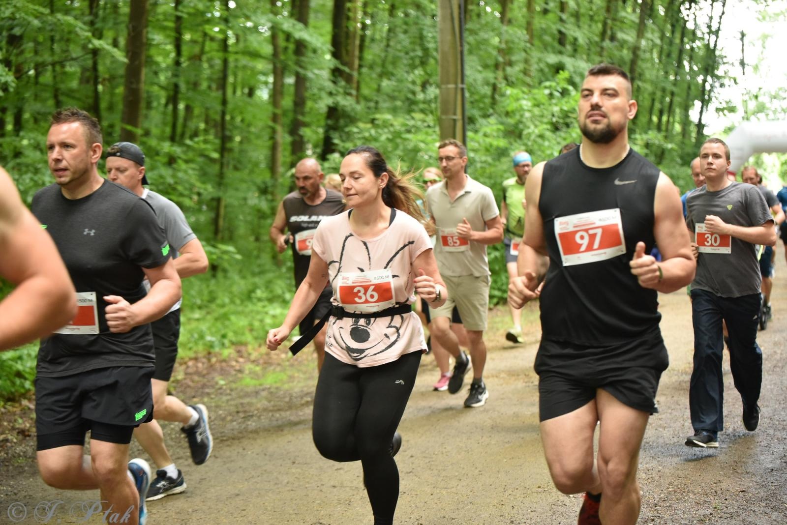 Zdjęcie w galerii na portalu naszraciborz.pl: Racibórz tętni dobrem. Honorowe krwiodawstwo wsparte biegiem wiadomości z regionu