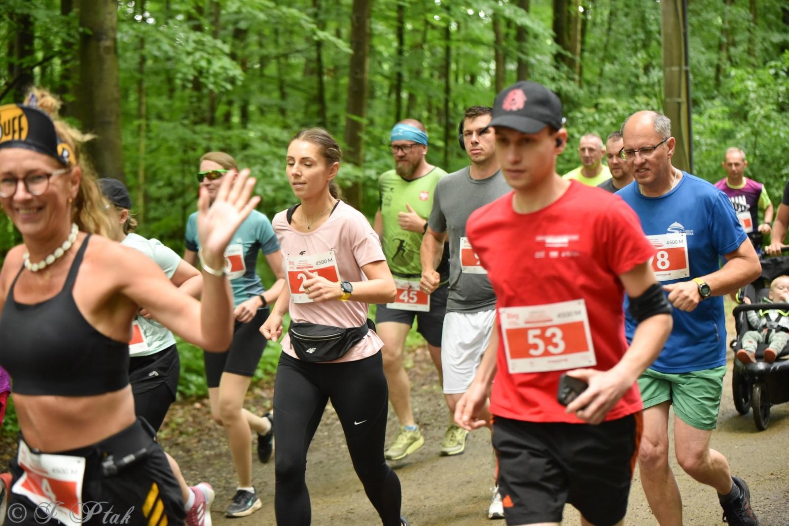 Zdjęcie w galerii na portalu naszraciborz.pl: Racibórz tętni dobrem. Honorowe krwiodawstwo wsparte biegiem wiadomości z regionu