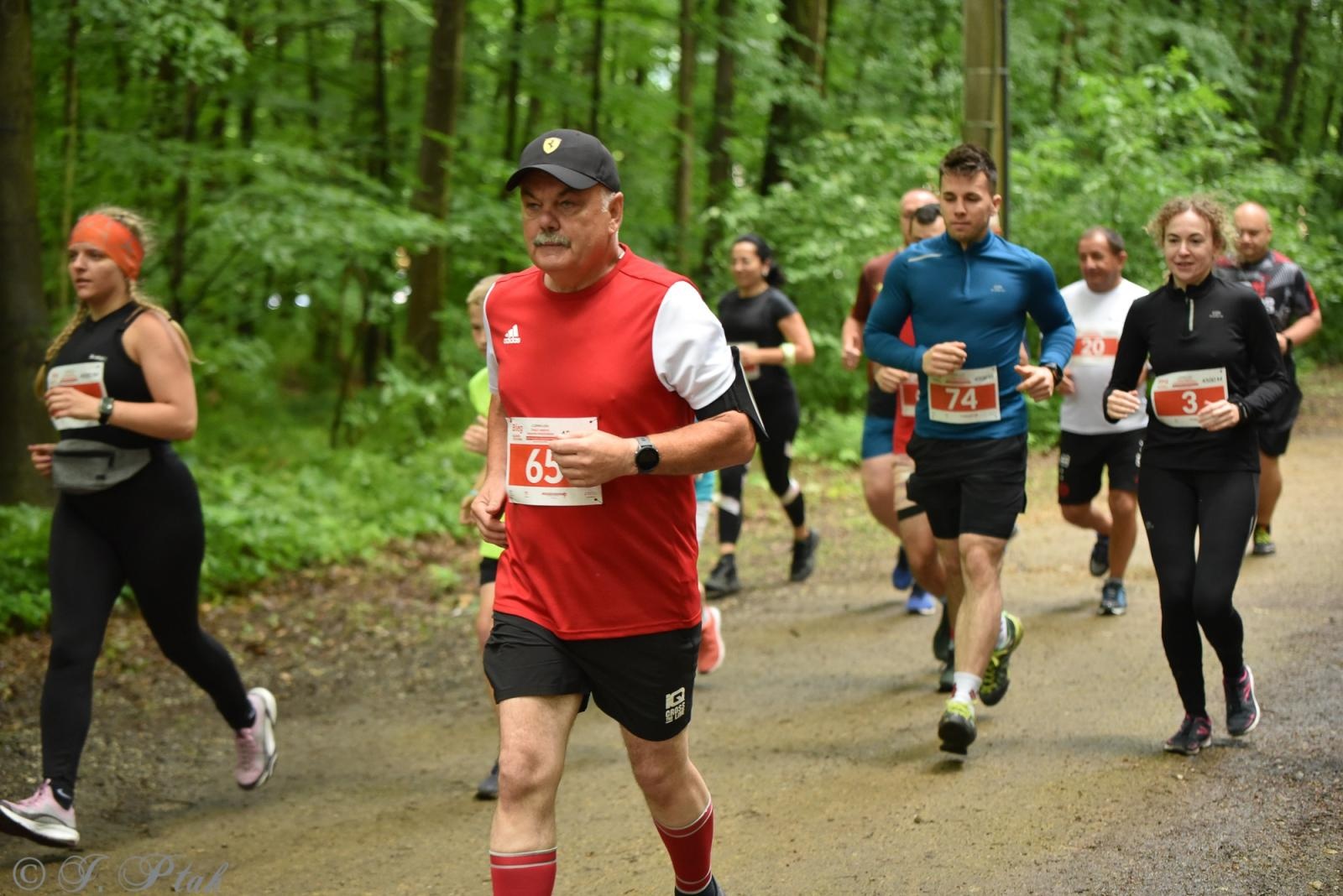 Zdjęcie w galerii na portalu naszraciborz.pl: Racibórz tętni dobrem. Honorowe krwiodawstwo wsparte biegiem wiadomości z regionu