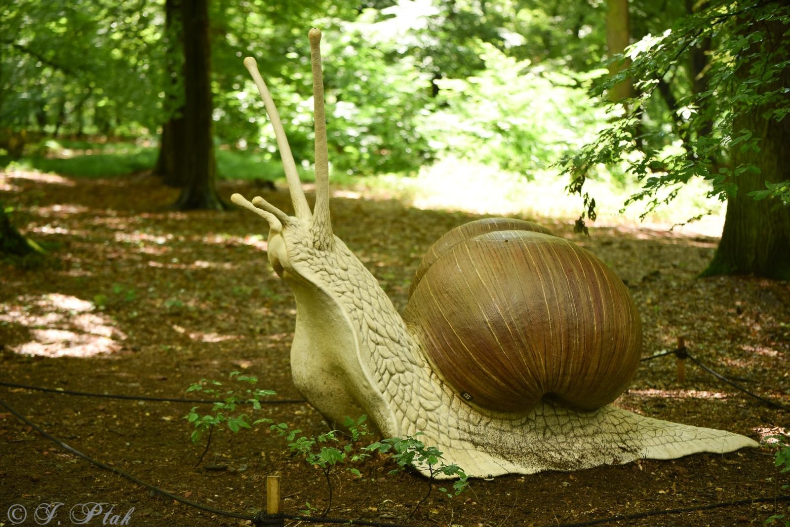 Zdjęcie w galerii na portalu naszraciborz.pl: Racibórz tętni dobrem. Honorowe krwiodawstwo wsparte biegiem wiadomości z regionu