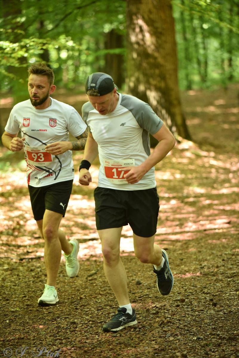 Zdjęcie w galerii na portalu naszraciborz.pl: Racibórz tętni dobrem. Honorowe krwiodawstwo wsparte biegiem wiadomości z regionu