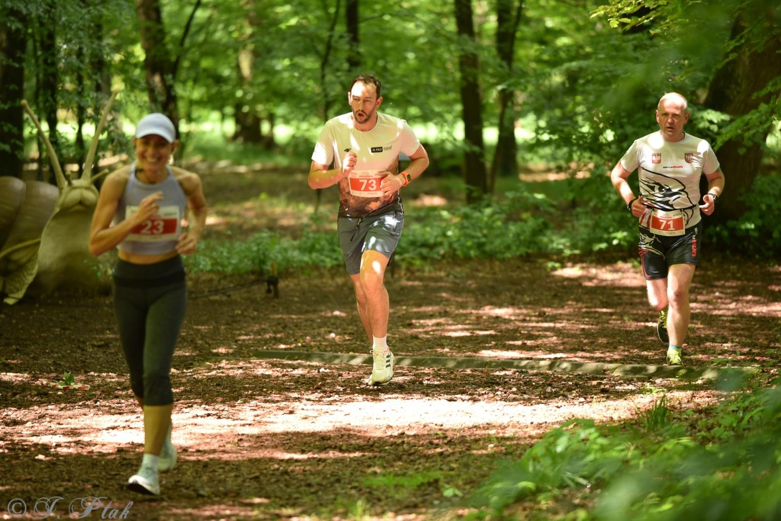 Zdjęcie w galerii na portalu naszraciborz.pl: Racibórz tętni dobrem. Honorowe krwiodawstwo wsparte biegiem wiadomości z regionu