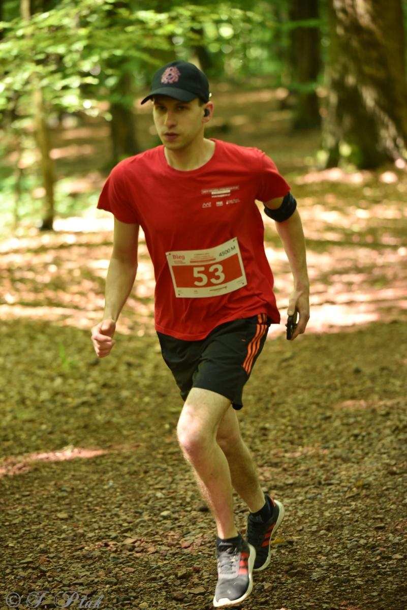 Zdjęcie w galerii na portalu naszraciborz.pl: Racibórz tętni dobrem. Honorowe krwiodawstwo wsparte biegiem wiadomości z regionu