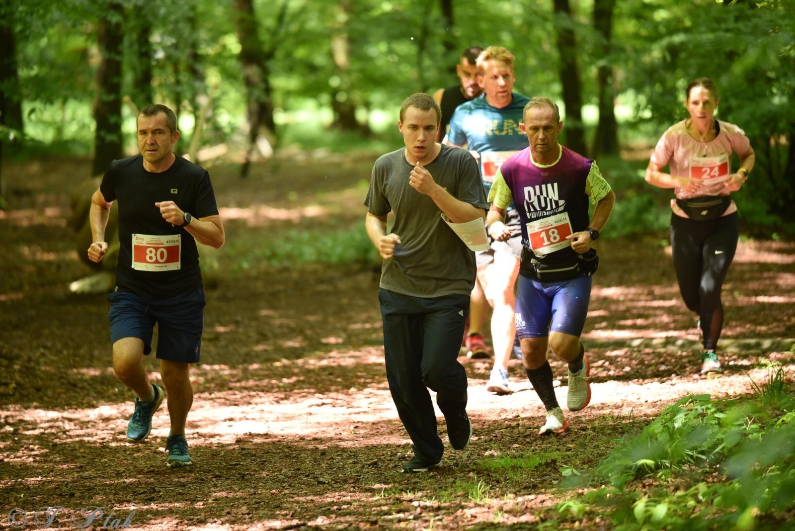Zdjęcie w galerii na portalu naszraciborz.pl: Racibórz tętni dobrem. Honorowe krwiodawstwo wsparte biegiem wiadomości z regionu
