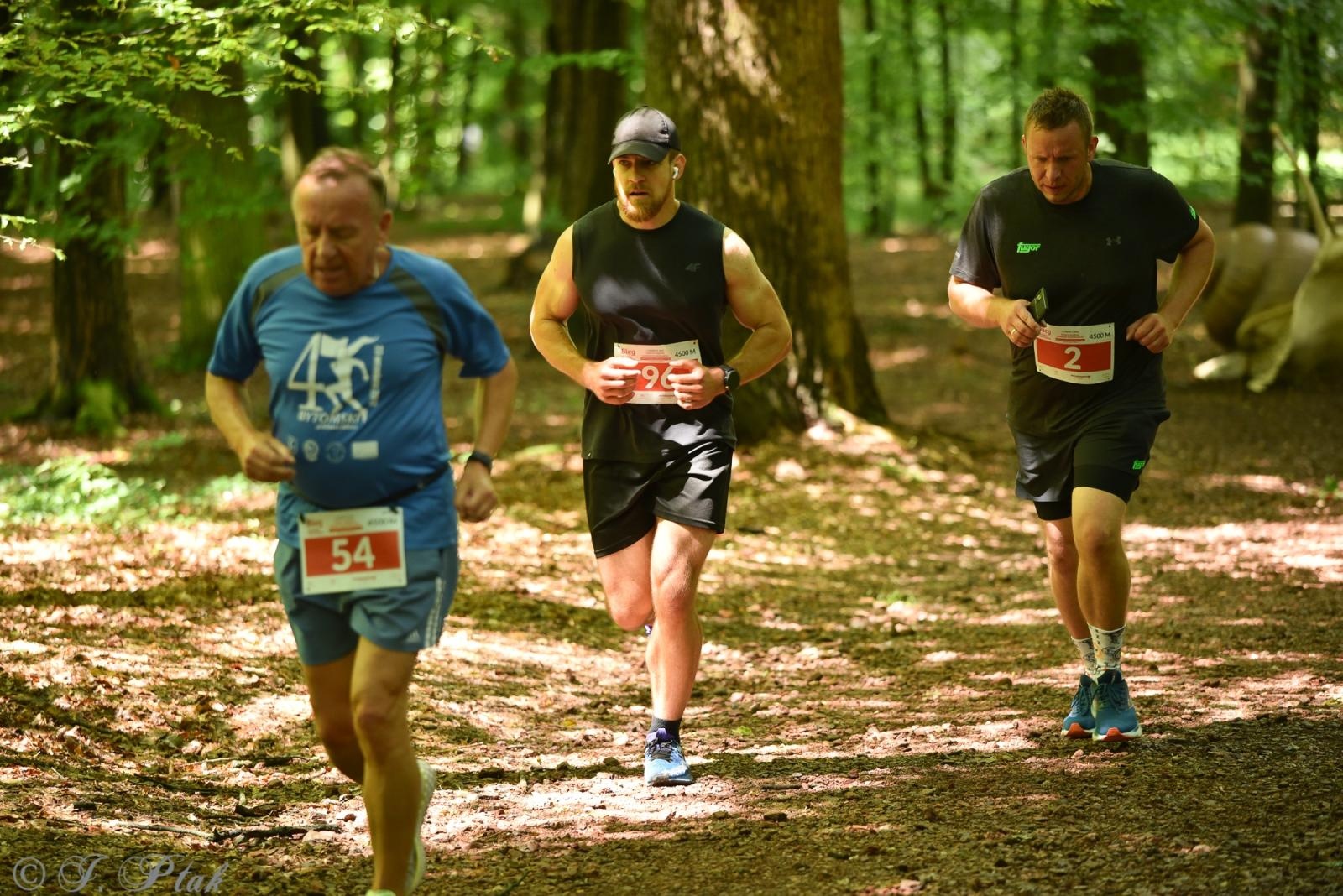 Zdjęcie w galerii na portalu naszraciborz.pl: Racibórz tętni dobrem. Honorowe krwiodawstwo wsparte biegiem wiadomości z regionu