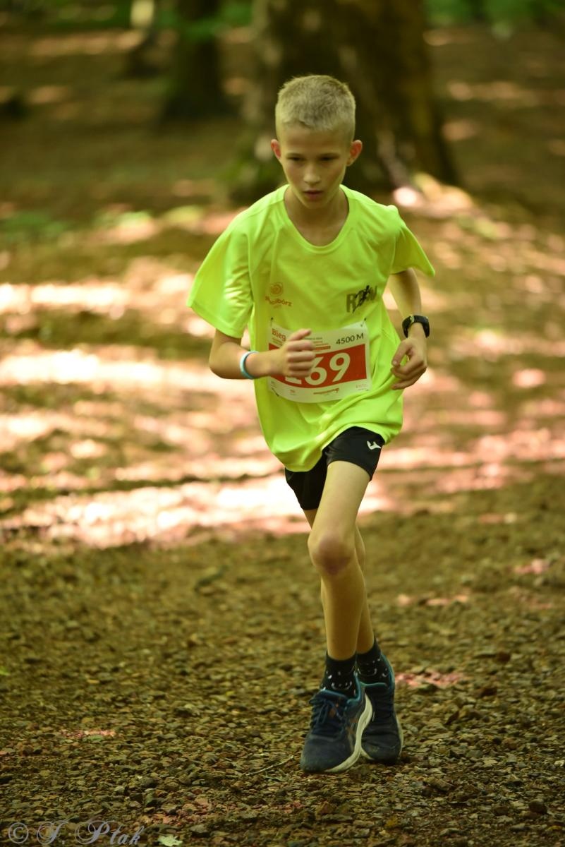 Zdjęcie w galerii na portalu naszraciborz.pl: Racibórz tętni dobrem. Honorowe krwiodawstwo wsparte biegiem wiadomości z regionu