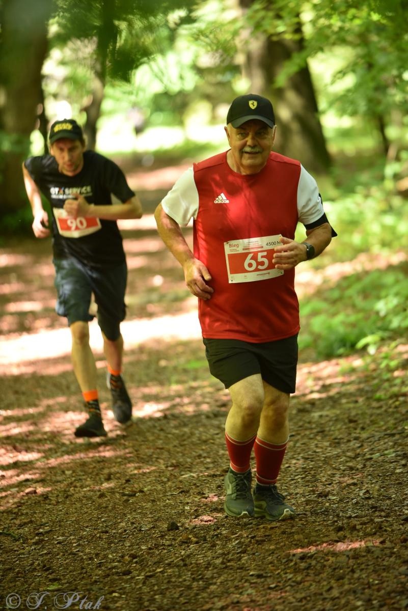 Zdjęcie w galerii na portalu naszraciborz.pl: Racibórz tętni dobrem. Honorowe krwiodawstwo wsparte biegiem wiadomości z regionu