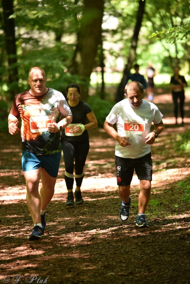 Zdjęcie w galerii na portalu naszraciborz.pl: Racibórz tętni dobrem. Honorowe krwiodawstwo wsparte biegiem wiadomości z regionu