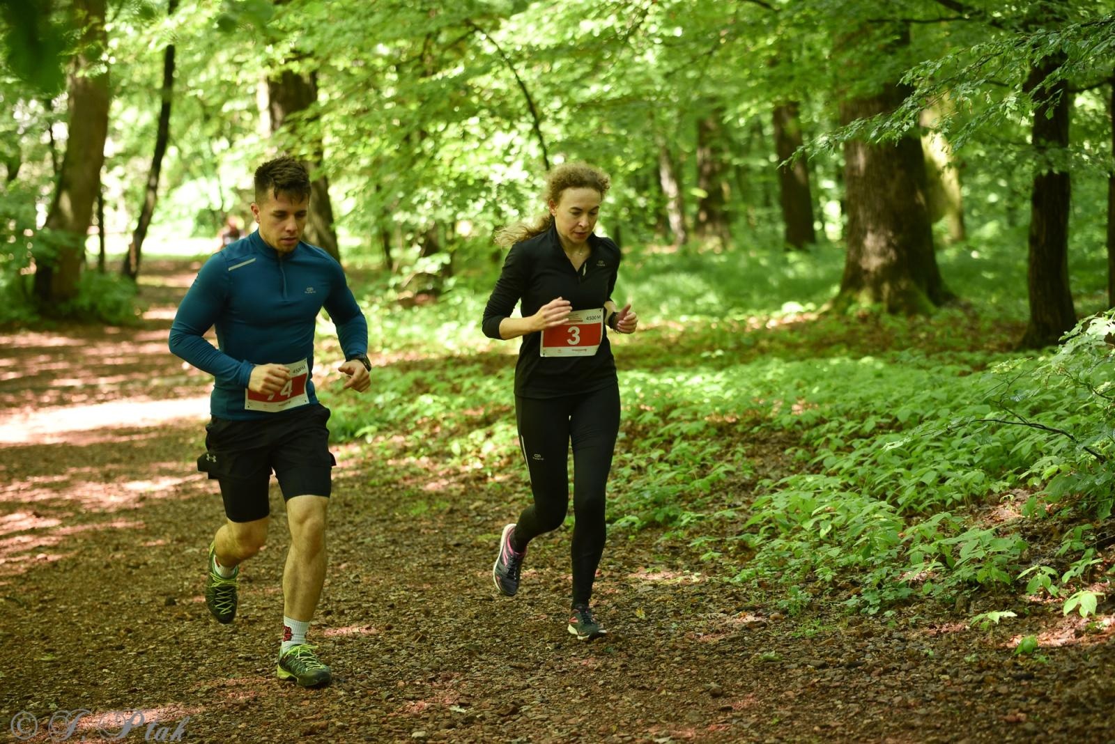 Zdjęcie w galerii na portalu naszraciborz.pl: Racibórz tętni dobrem. Honorowe krwiodawstwo wsparte biegiem wiadomości z regionu