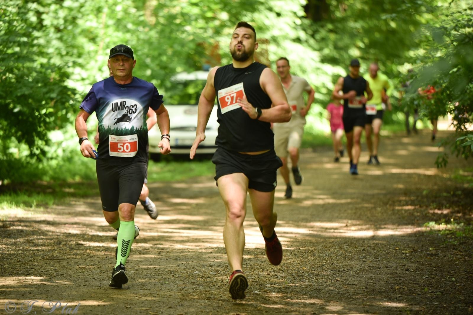 Zdjęcie w galerii na portalu naszraciborz.pl: Racibórz tętni dobrem. Honorowe krwiodawstwo wsparte biegiem wiadomości z regionu