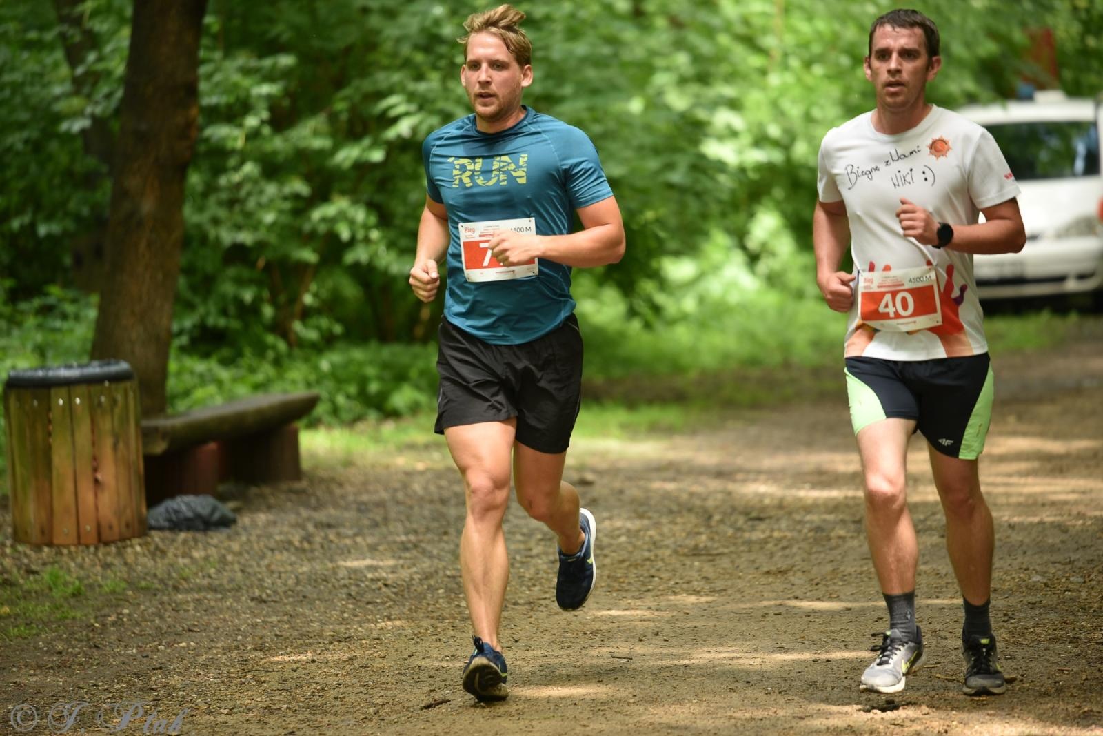 Zdjęcie w galerii na portalu naszraciborz.pl: Racibórz tętni dobrem. Honorowe krwiodawstwo wsparte biegiem wiadomości z regionu