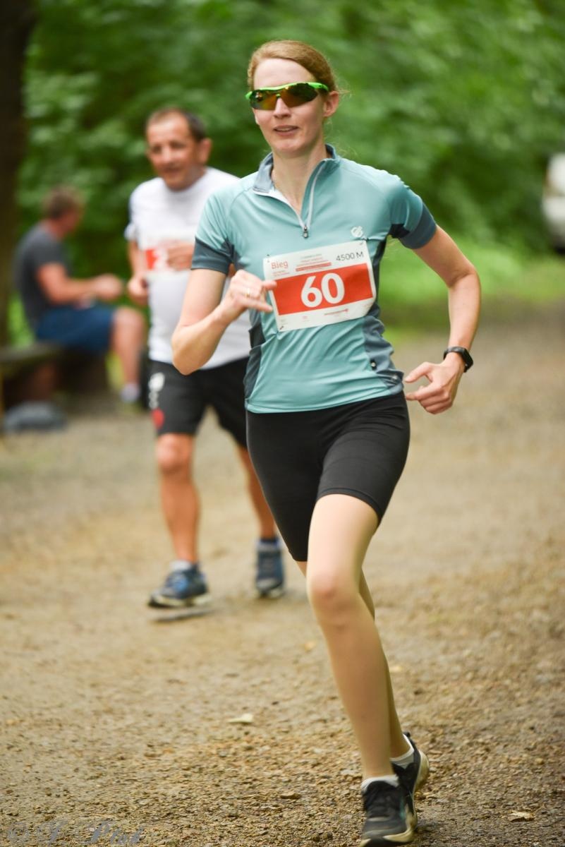 Zdjęcie w galerii na portalu naszraciborz.pl: Racibórz tętni dobrem. Honorowe krwiodawstwo wsparte biegiem wiadomości z regionu