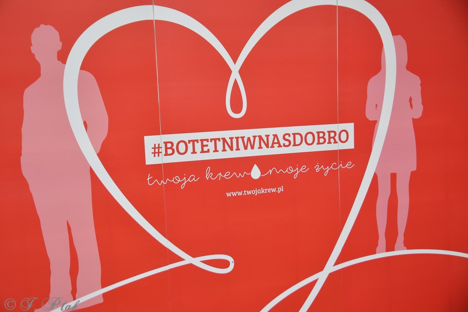 Zdjęcie w galerii na portalu naszraciborz.pl: Racibórz tętni dobrem. Honorowe krwiodawstwo wsparte biegiem wiadomości z regionu