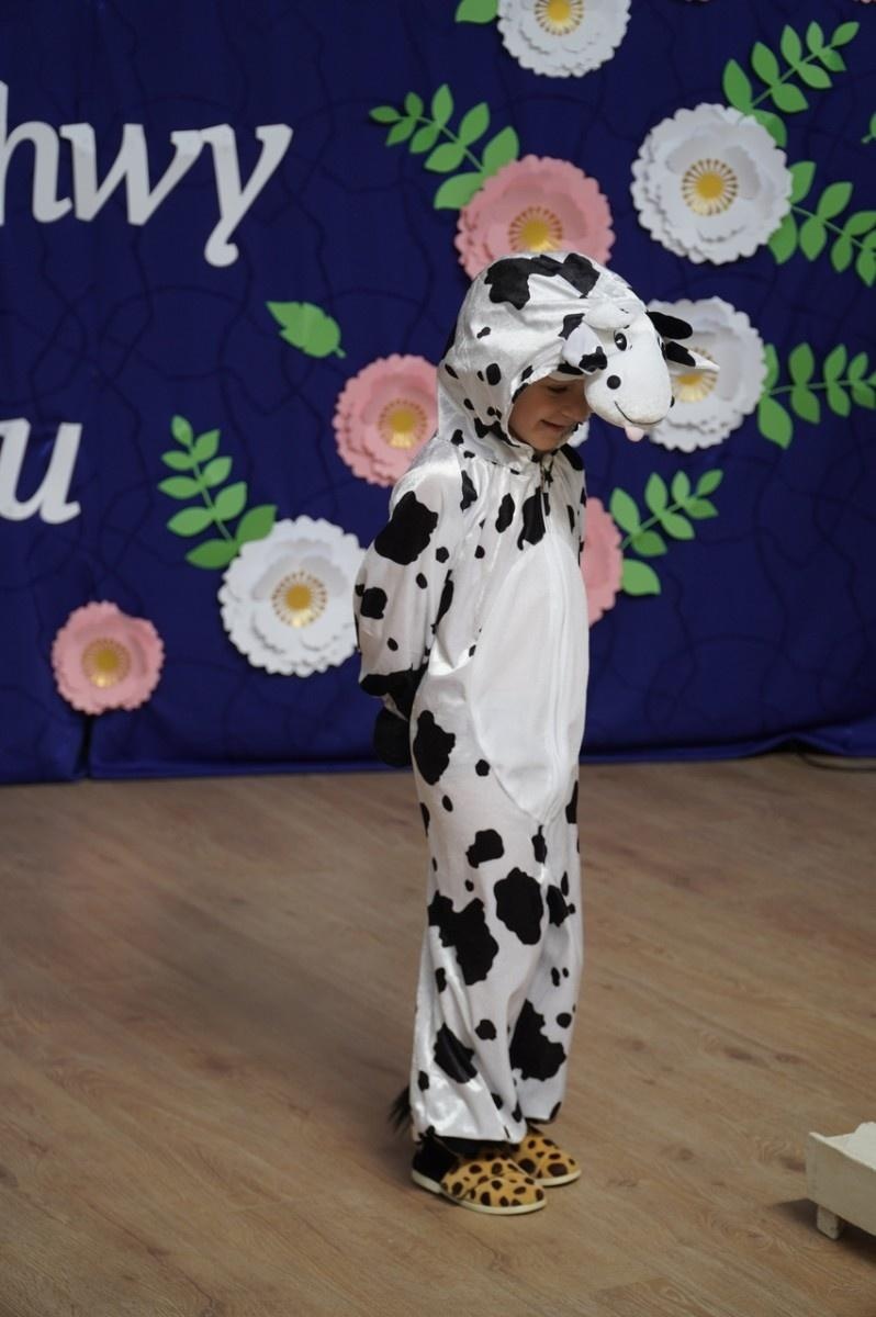 Zdjęcie w galerii na portalu naszraciborz.pl: Jubileusz 60-lecia raciborskiego Przedszkola nr 15 wiadomości z regionu