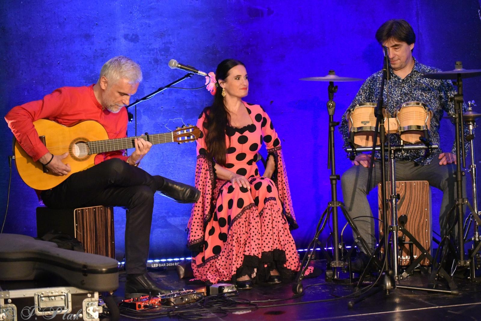 Zdjęcie w galerii na portalu naszraciborz.pl: Viva Flamenco! Dni Raciborza rozpoczęto w podziemiach wiadomości z regionu