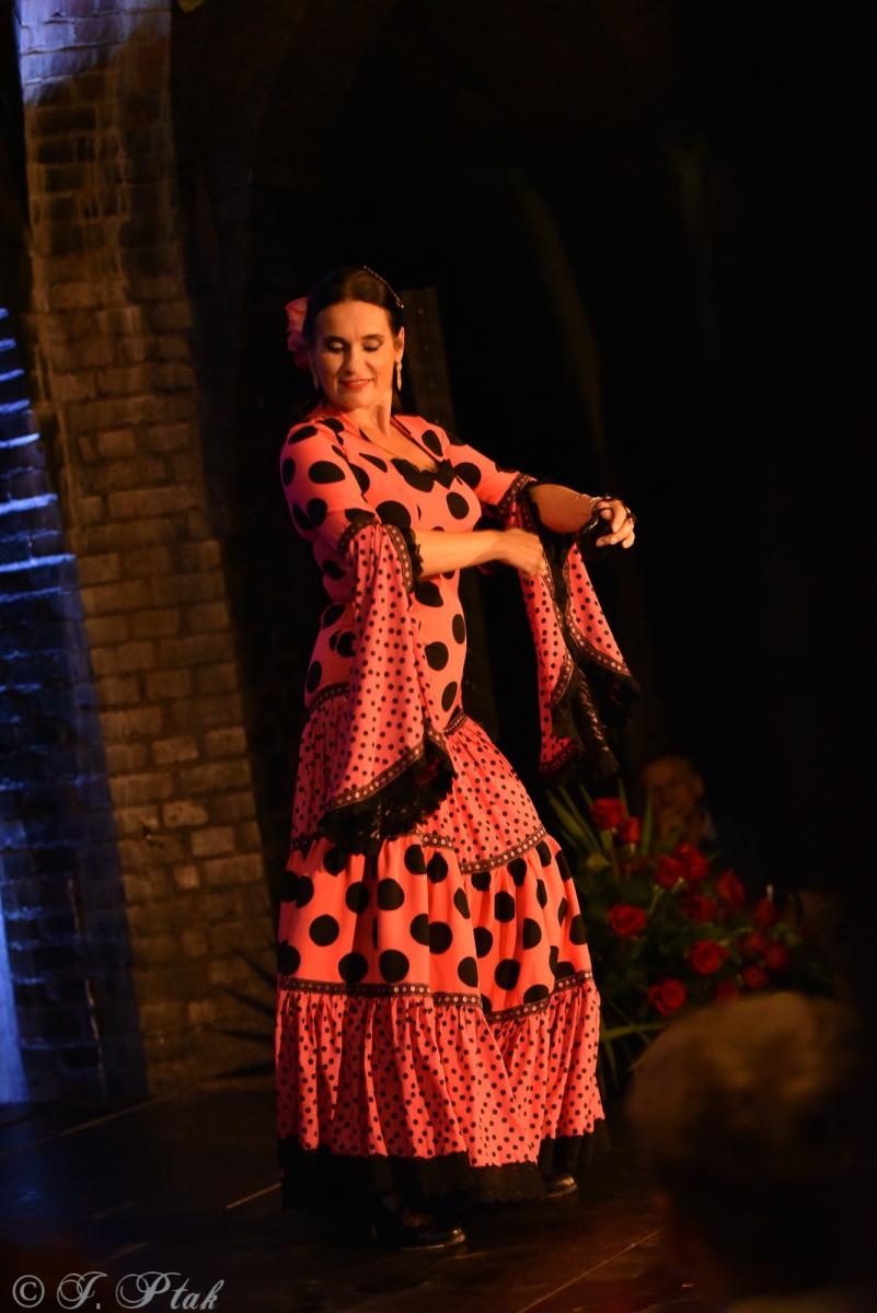 Zdjęcie w galerii na portalu naszraciborz.pl: Viva Flamenco! Dni Raciborza rozpoczęto w podziemiach wiadomości z regionu