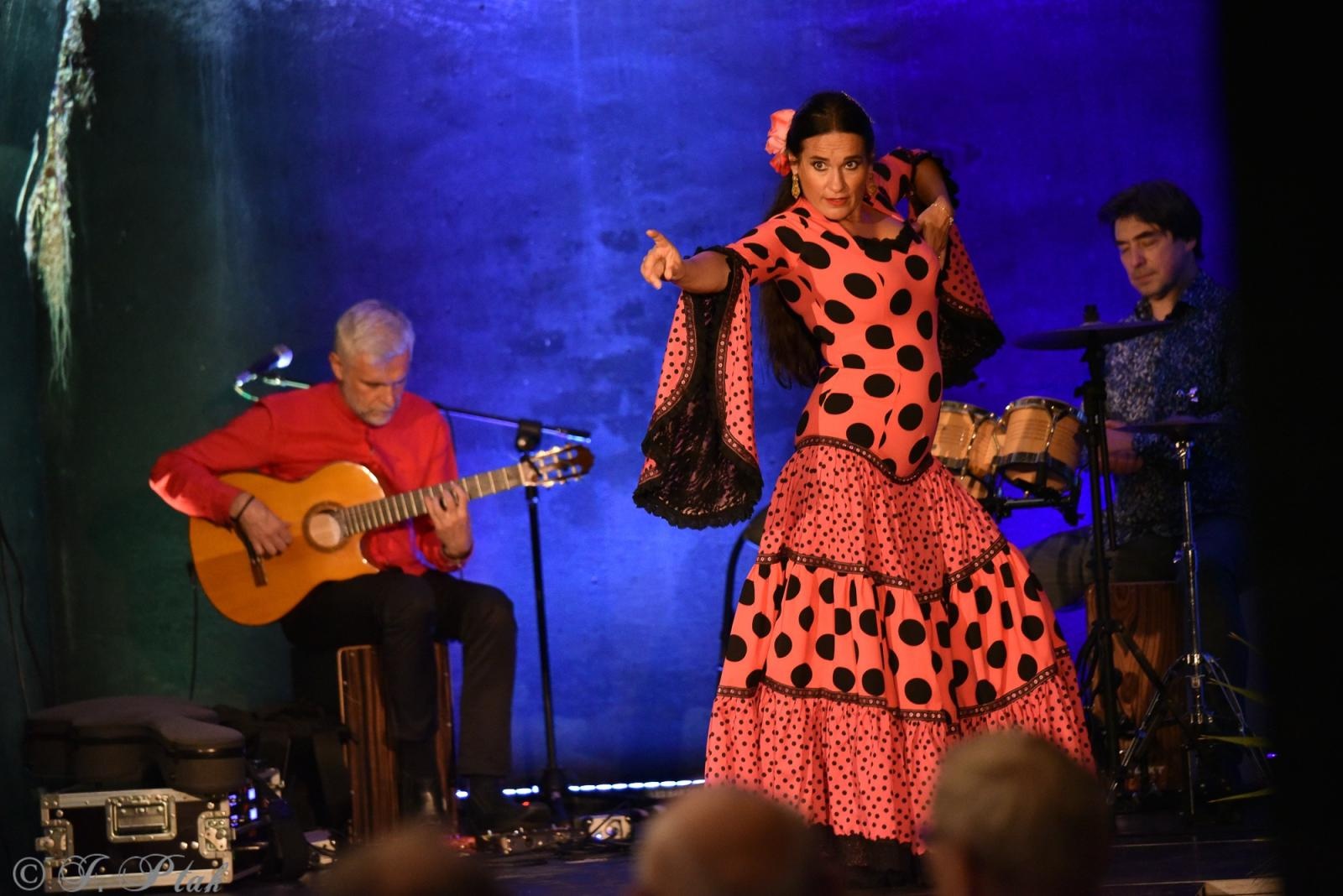 Zdjęcie w galerii na portalu naszraciborz.pl: Viva Flamenco! Dni Raciborza rozpoczęto w podziemiach wiadomości z regionu