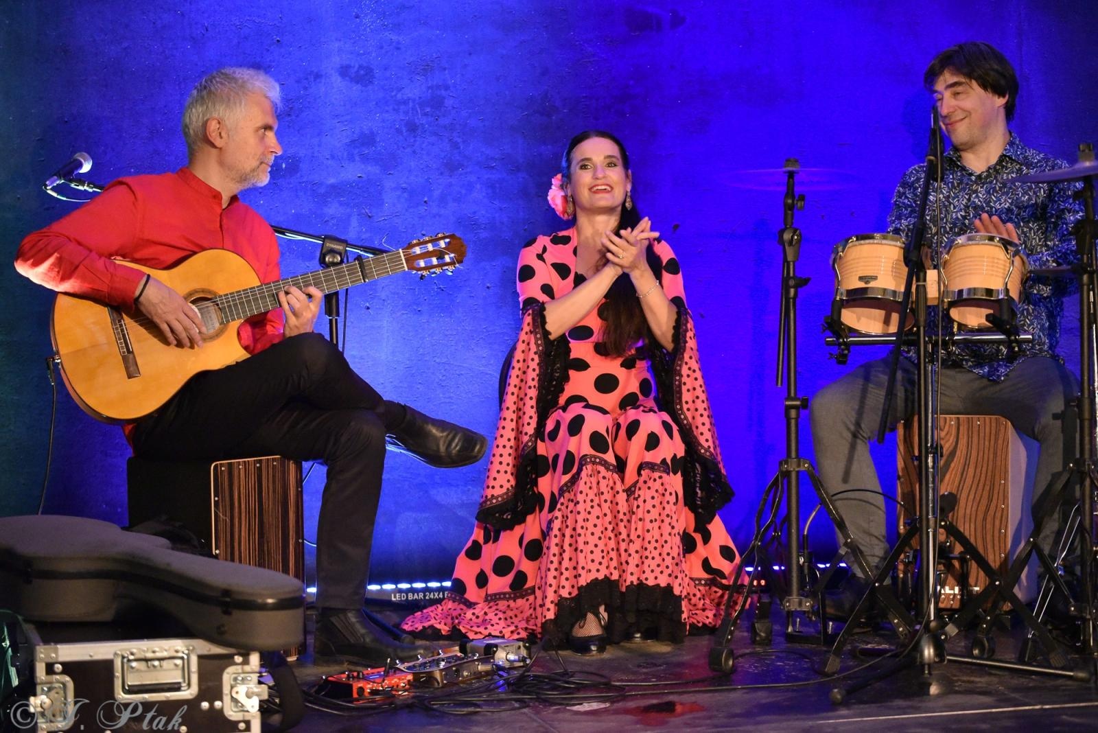 Zdjęcie w galerii na portalu naszraciborz.pl: Viva Flamenco! Dni Raciborza rozpoczęto w podziemiach wiadomości z regionu