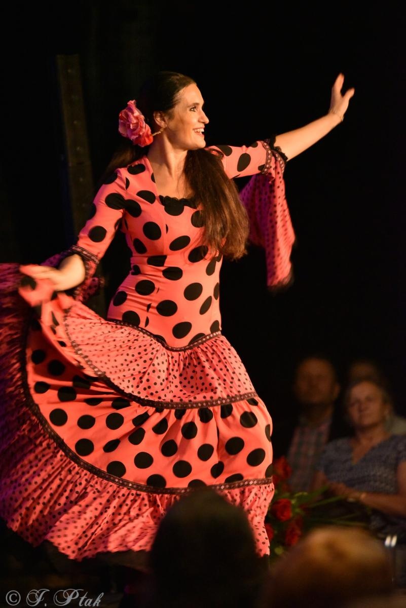 Zdjęcie w galerii na portalu naszraciborz.pl: Viva Flamenco! Dni Raciborza rozpoczęto w podziemiach wiadomości z regionu