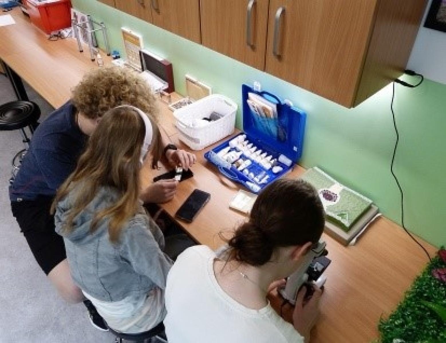 Zdjęcie w galerii na portalu naszraciborz.pl: Zielona Pracownia: współpraca, eksperymenty, edukacja wiadomości z regionu