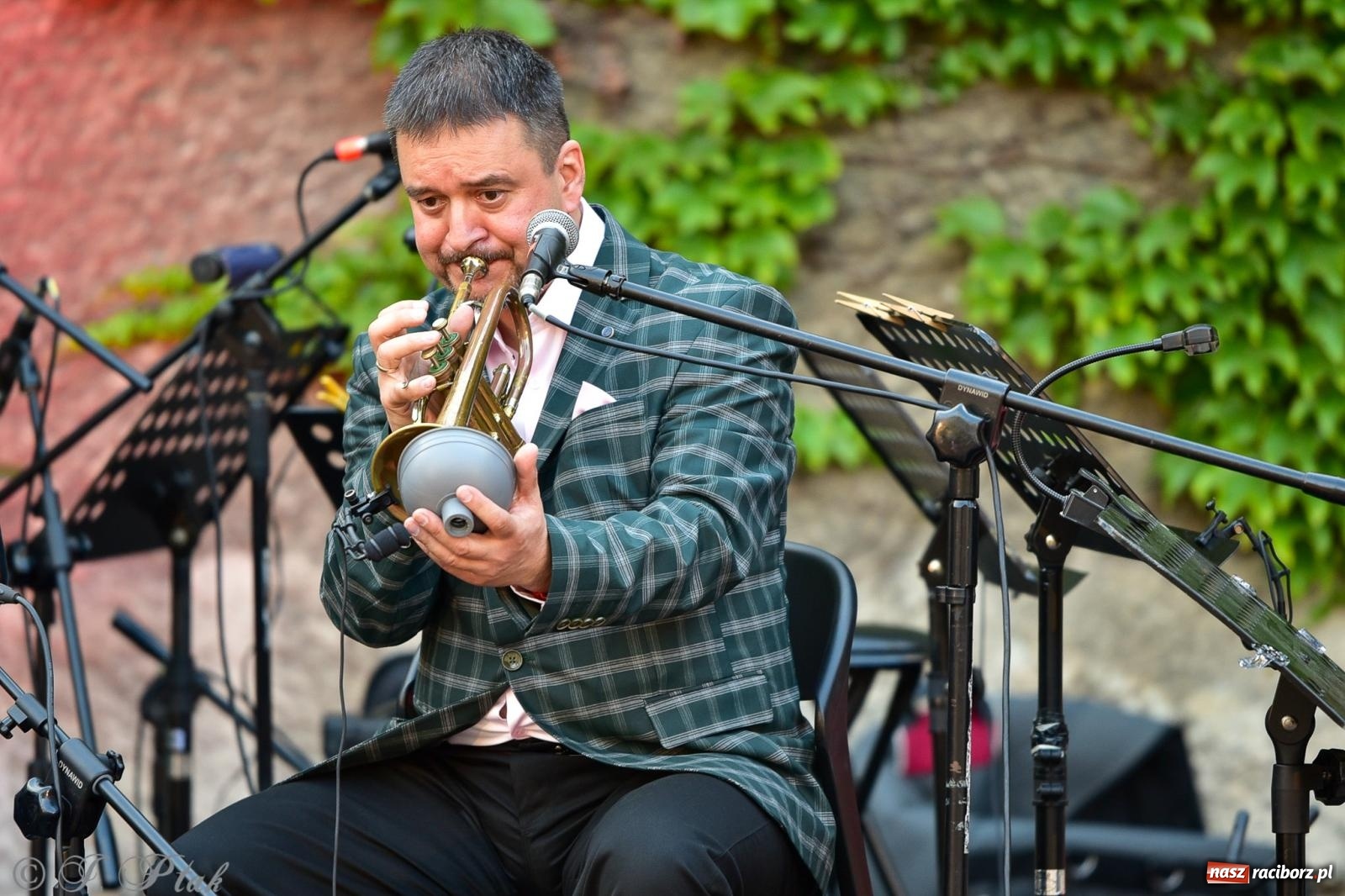 Zdjęcie w galerii na portalu naszraciborz.pl: Diexieland Street Band i W Sam Raz na bis. Muzycznie i kolorowo na ulicach Raciborza wiadomości z regionu