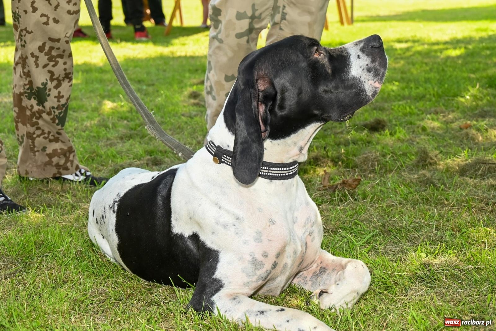 Zdjęcie w galerii na portalu naszraciborz.pl: Przy ruinach w Tworkowie zorganizowano Dzień Dziecka wiadomości z regionu