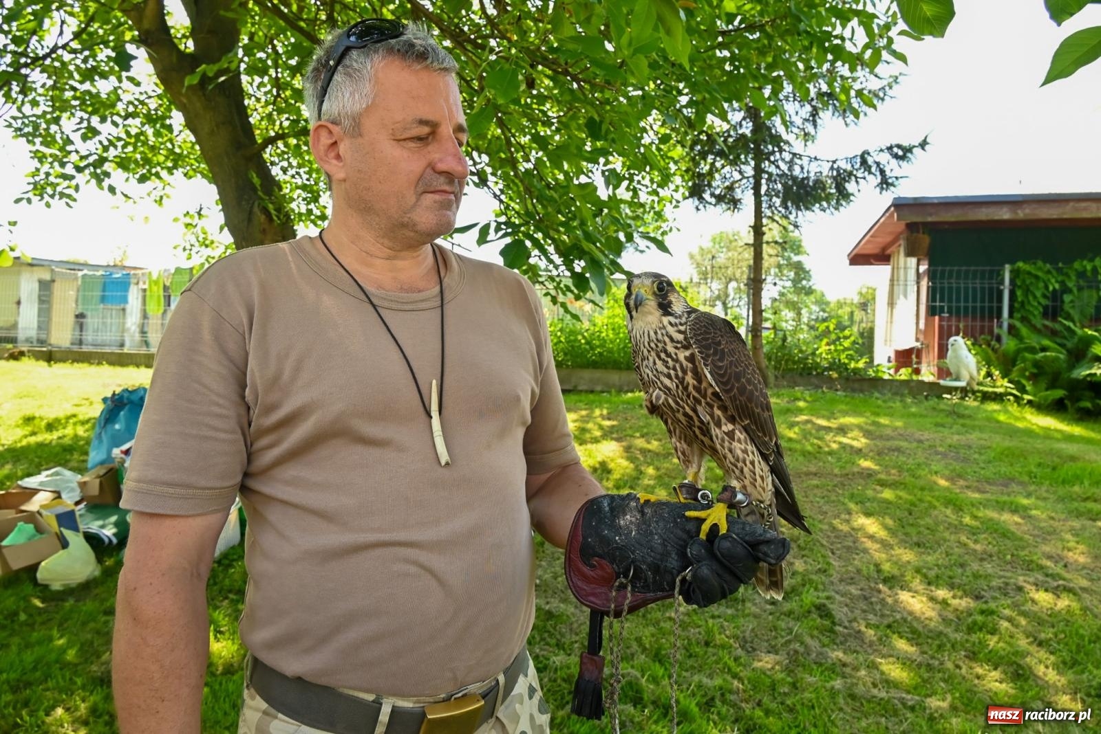 Zdjęcie w galerii na portalu naszraciborz.pl: Przy ruinach w Tworkowie zorganizowano Dzień Dziecka wiadomości z regionu