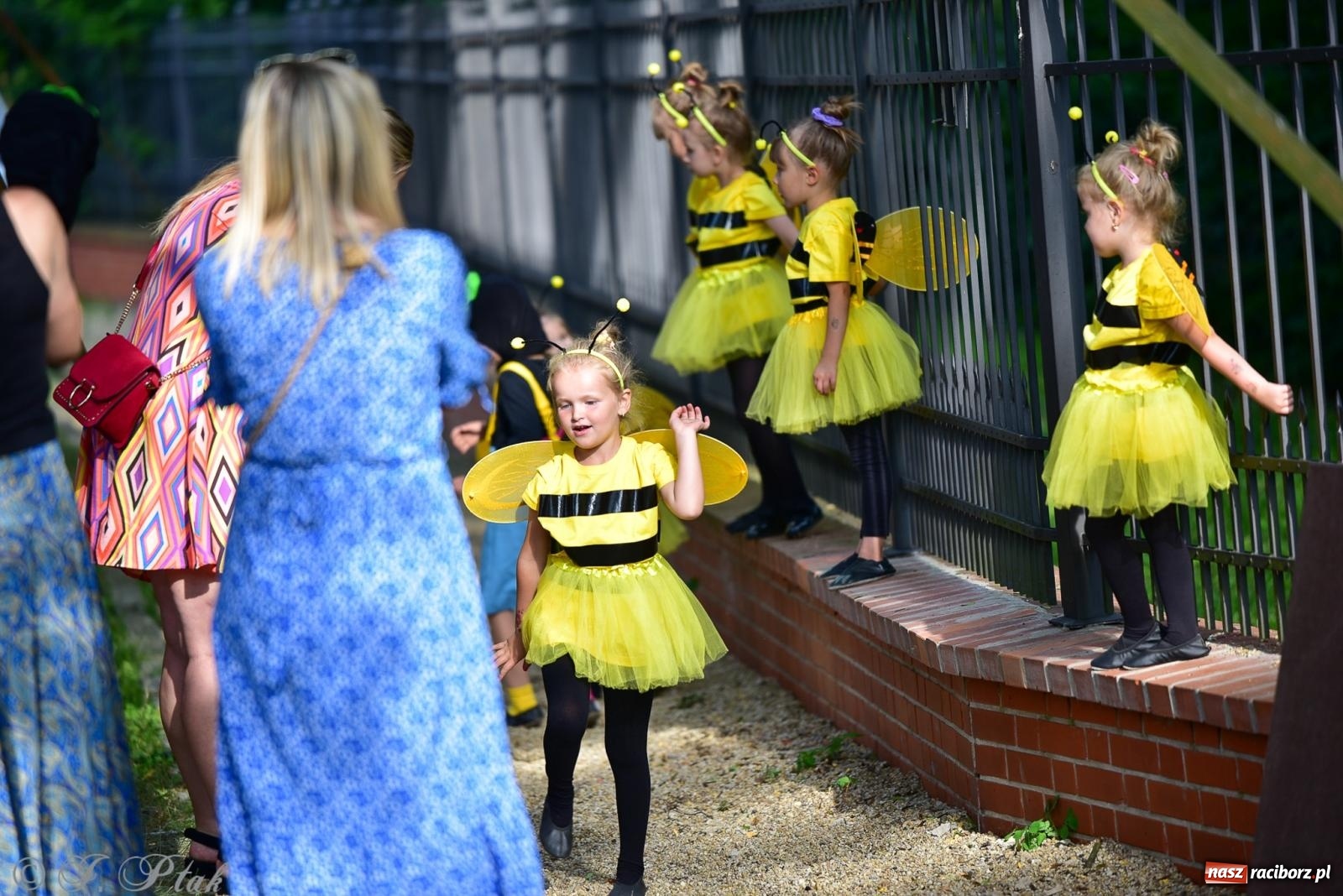 Zdjęcie w galerii na portalu naszraciborz.pl: Taneczne podsumowanie roku szkolnego na zamku w Raciborzu [FOTO i WIDEO] wiadomości z regionu