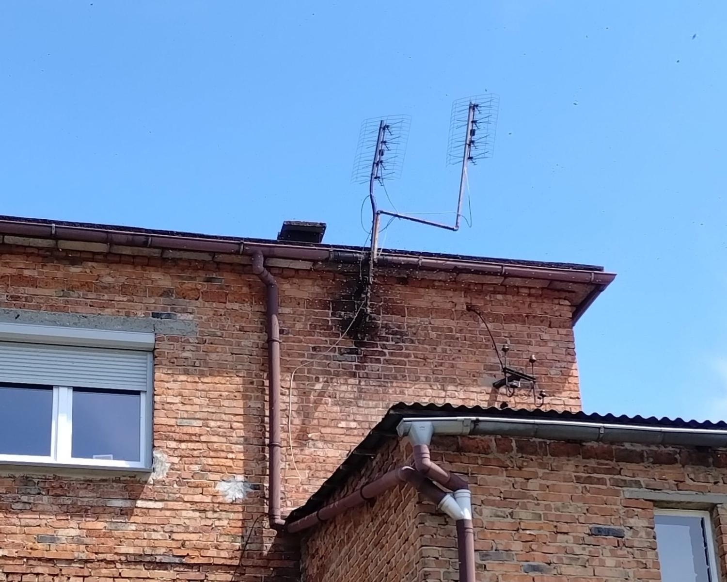 Zdjęcie w galerii na portalu naszraciborz.pl: Raport 998. Otwarcie mieszkania przy Waryńskiego. Rój pszczół w Rzuchowie wiadomości z regionu