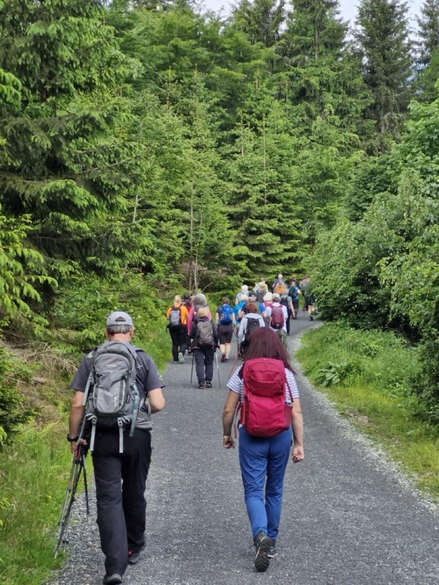 Zdjęcie w galerii na portalu naszraciborz.pl: Wędrowcy z PTTK Racibórz znów na szlaku wiadomości z regionu