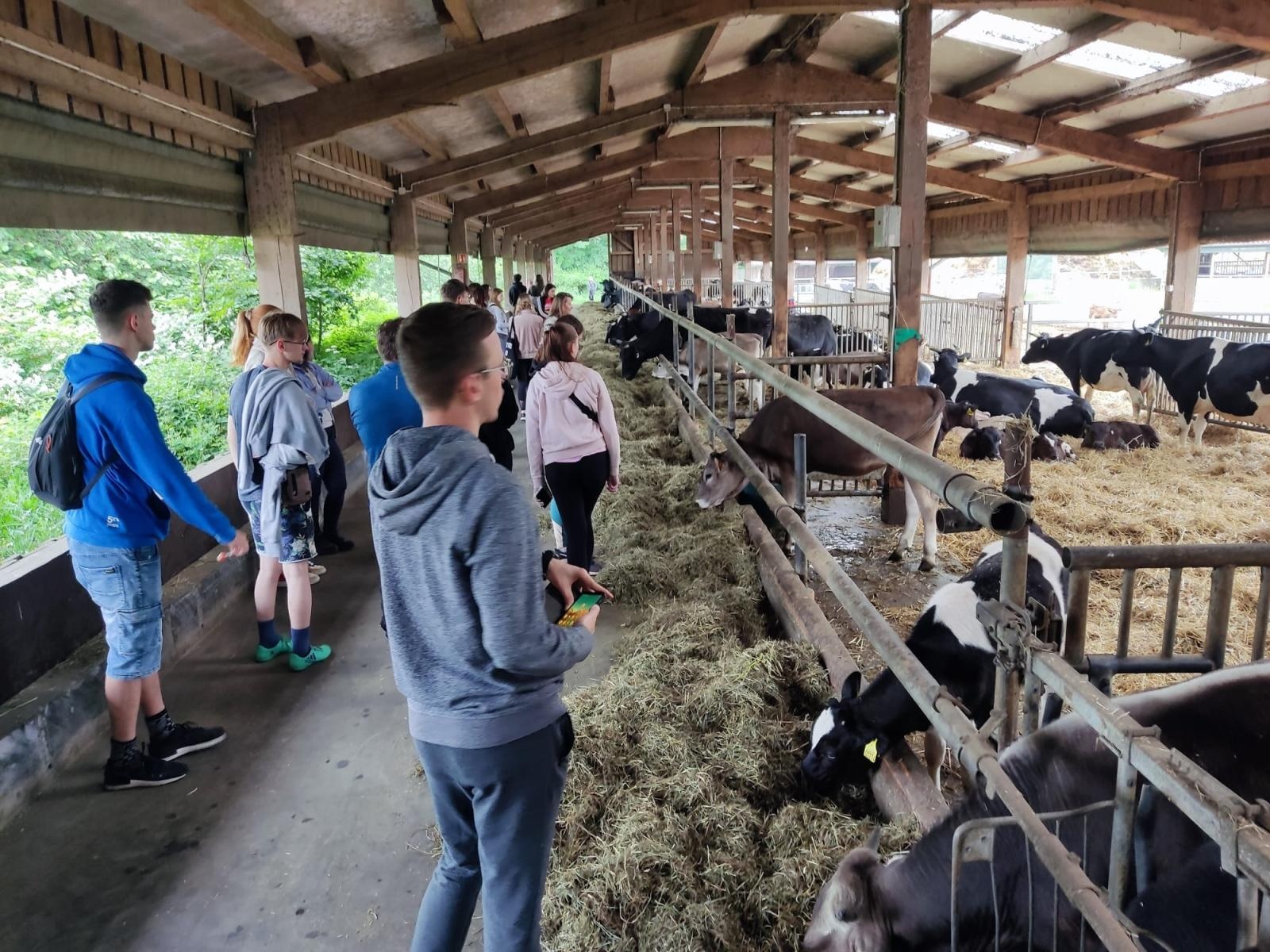 Zdjęcie w galerii na portalu naszraciborz.pl: Studenci Architektury ponownie na warsztatach ArchitEKO w Juchowie wiadomości z regionu