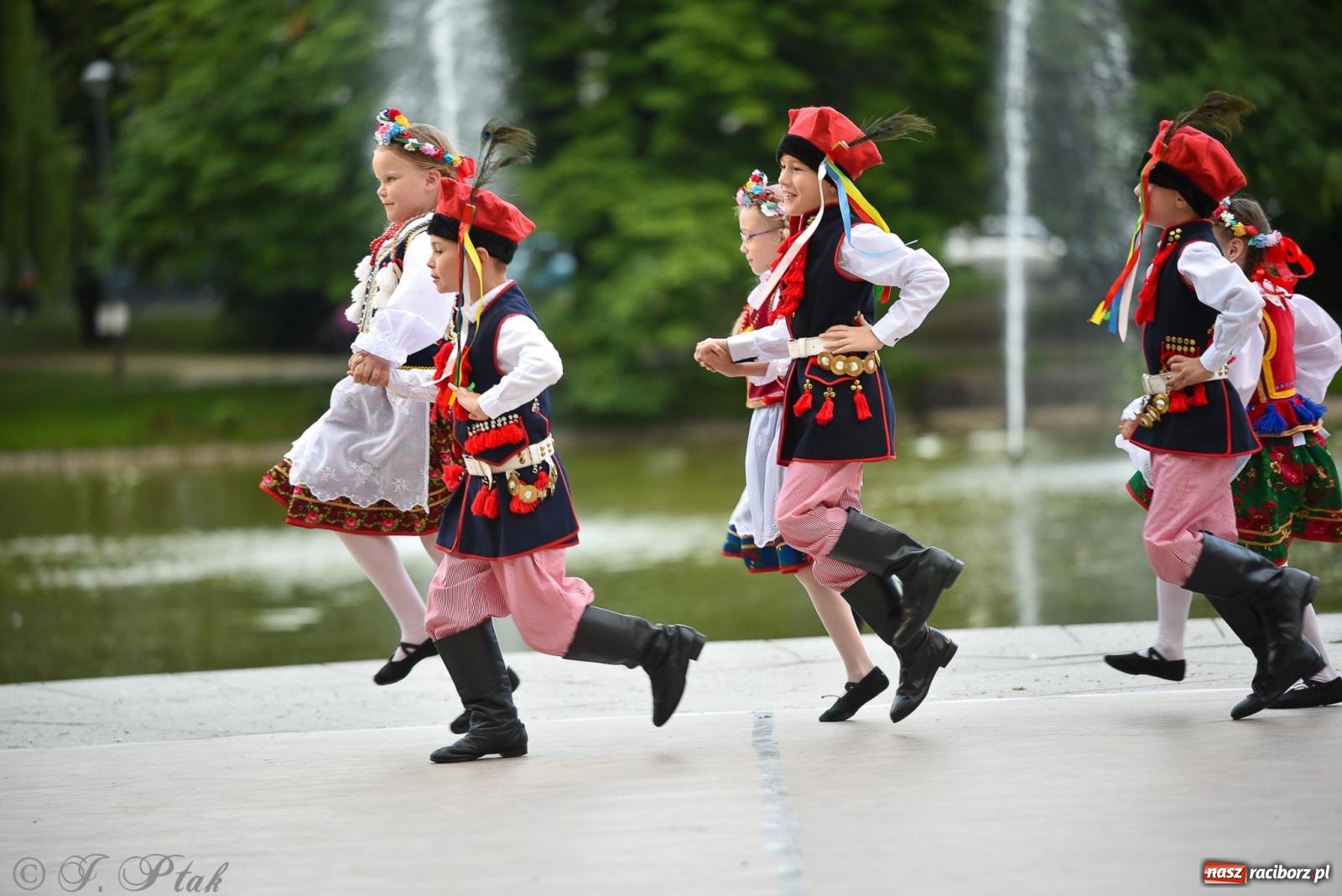 Zdjęcie w galerii na portalu naszraciborz.pl: W poszukiwaniu kwiatu paproci. Noc Świętojańska w parku im. Miasta Roth [FOTO i WIDEO] wiadomości z regionu