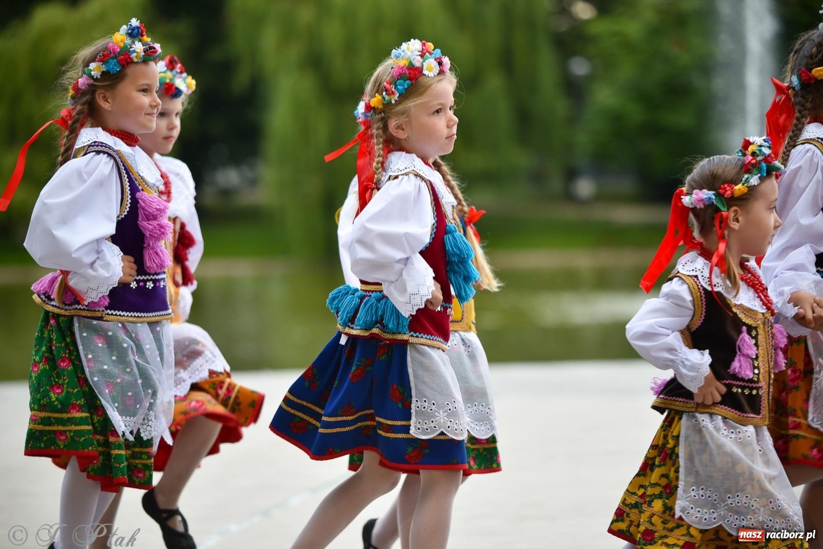 Zdjęcie w galerii na portalu naszraciborz.pl: W poszukiwaniu kwiatu paproci. Noc Świętojańska w parku im. Miasta Roth [FOTO i WIDEO] wiadomości z regionu
