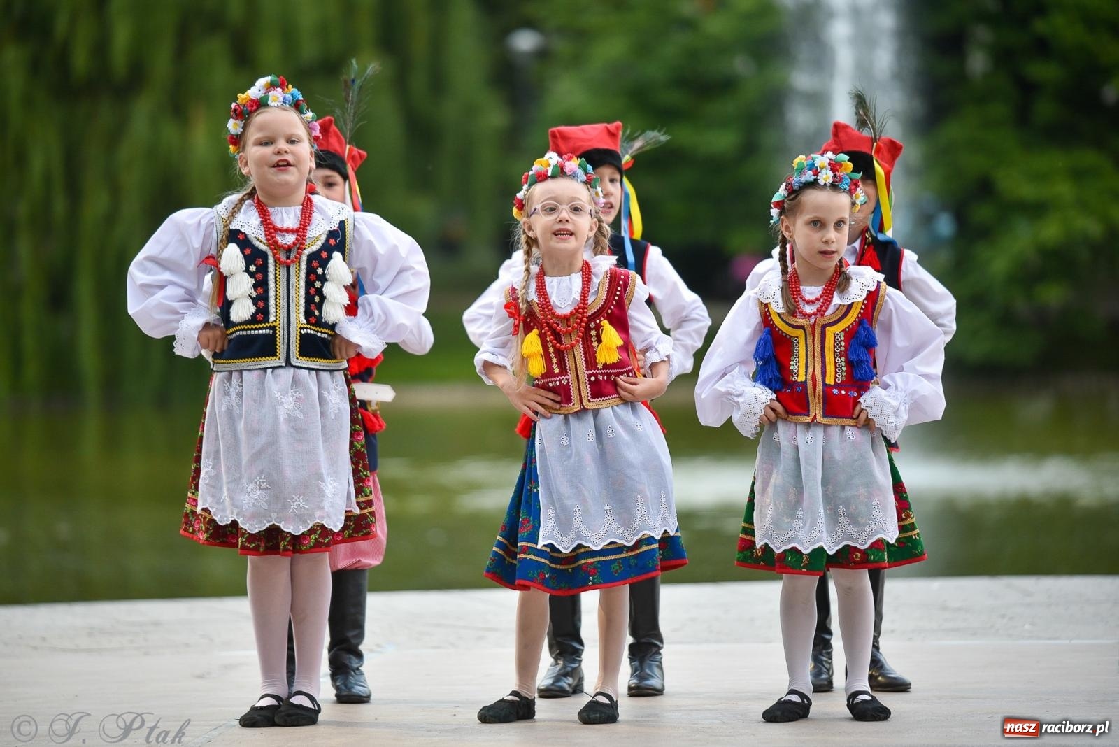 Zdjęcie w galerii na portalu naszraciborz.pl: W poszukiwaniu kwiatu paproci. Noc Świętojańska w parku im. Miasta Roth [FOTO i WIDEO] wiadomości z regionu