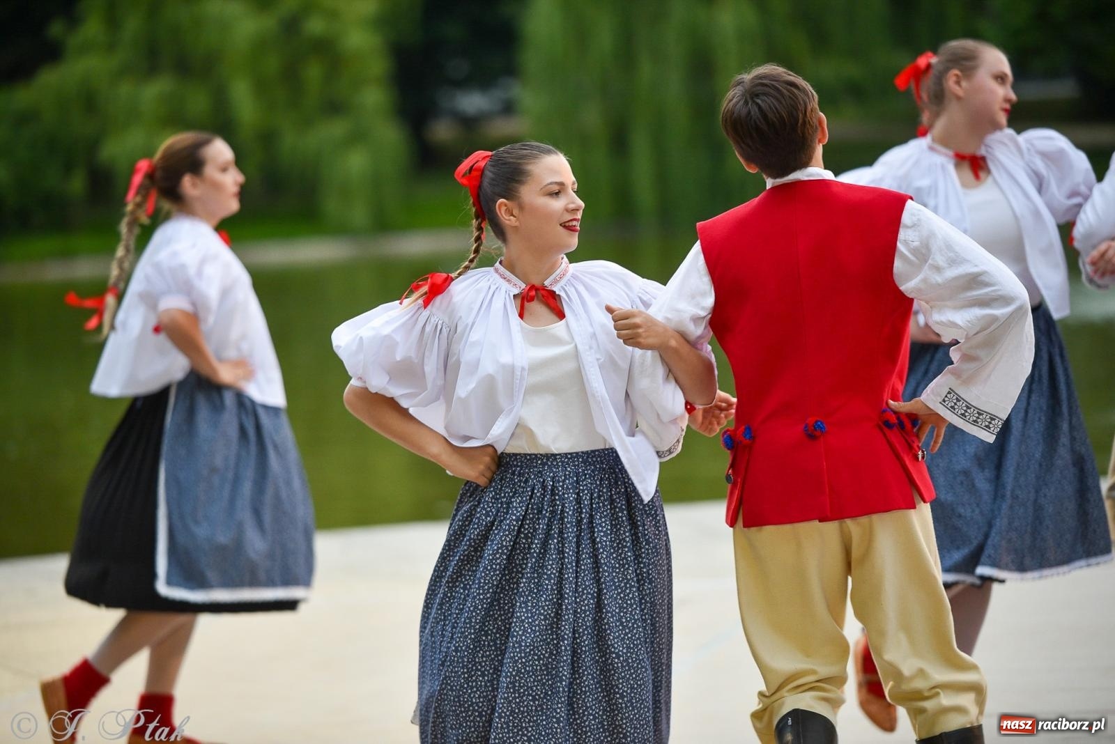 Zdjęcie w galerii na portalu naszraciborz.pl: W poszukiwaniu kwiatu paproci. Noc Świętojańska w parku im. Miasta Roth [FOTO i WIDEO] wiadomości z regionu