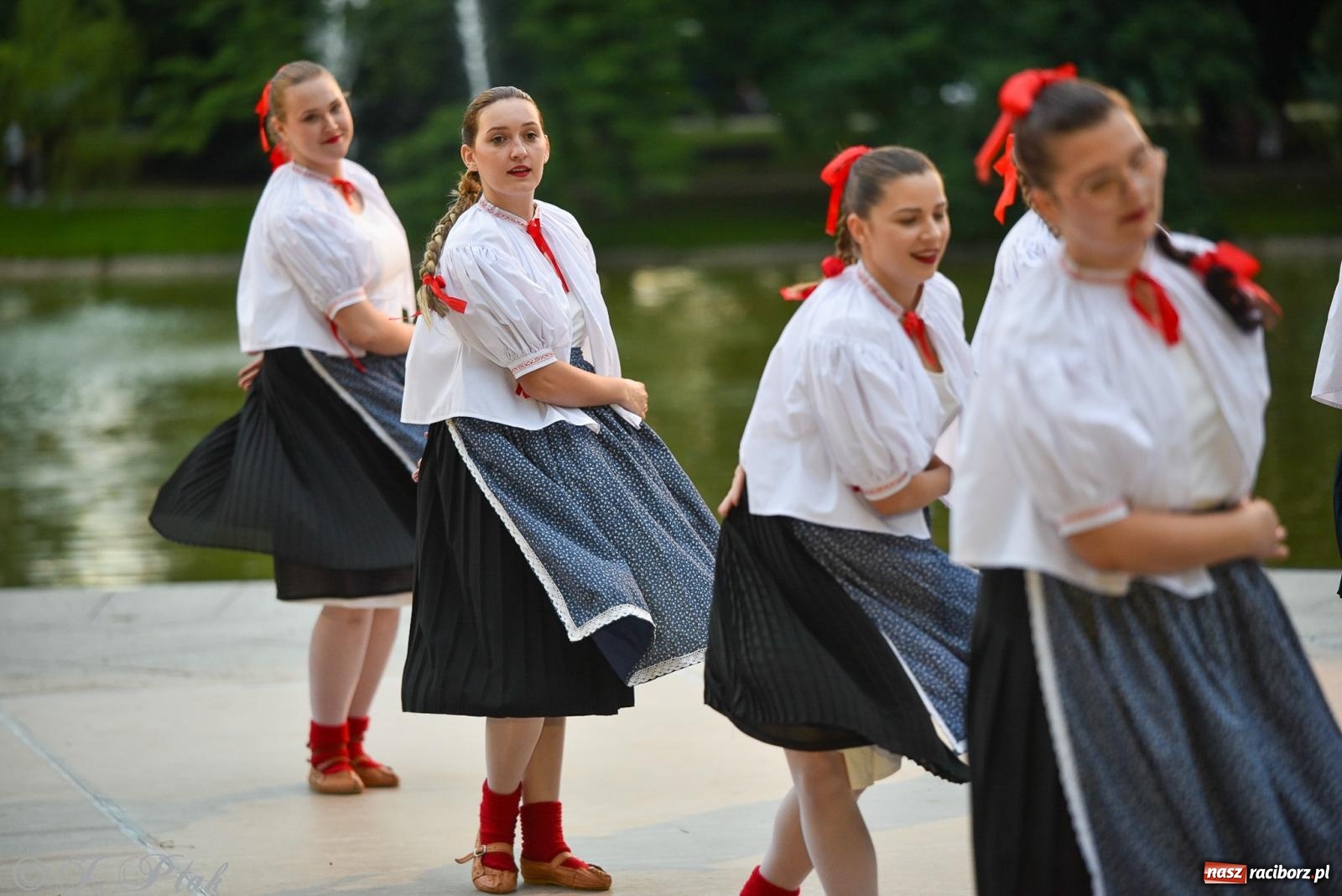 Zdjęcie w galerii na portalu naszraciborz.pl: W poszukiwaniu kwiatu paproci. Noc Świętojańska w parku im. Miasta Roth [FOTO i WIDEO] wiadomości z regionu