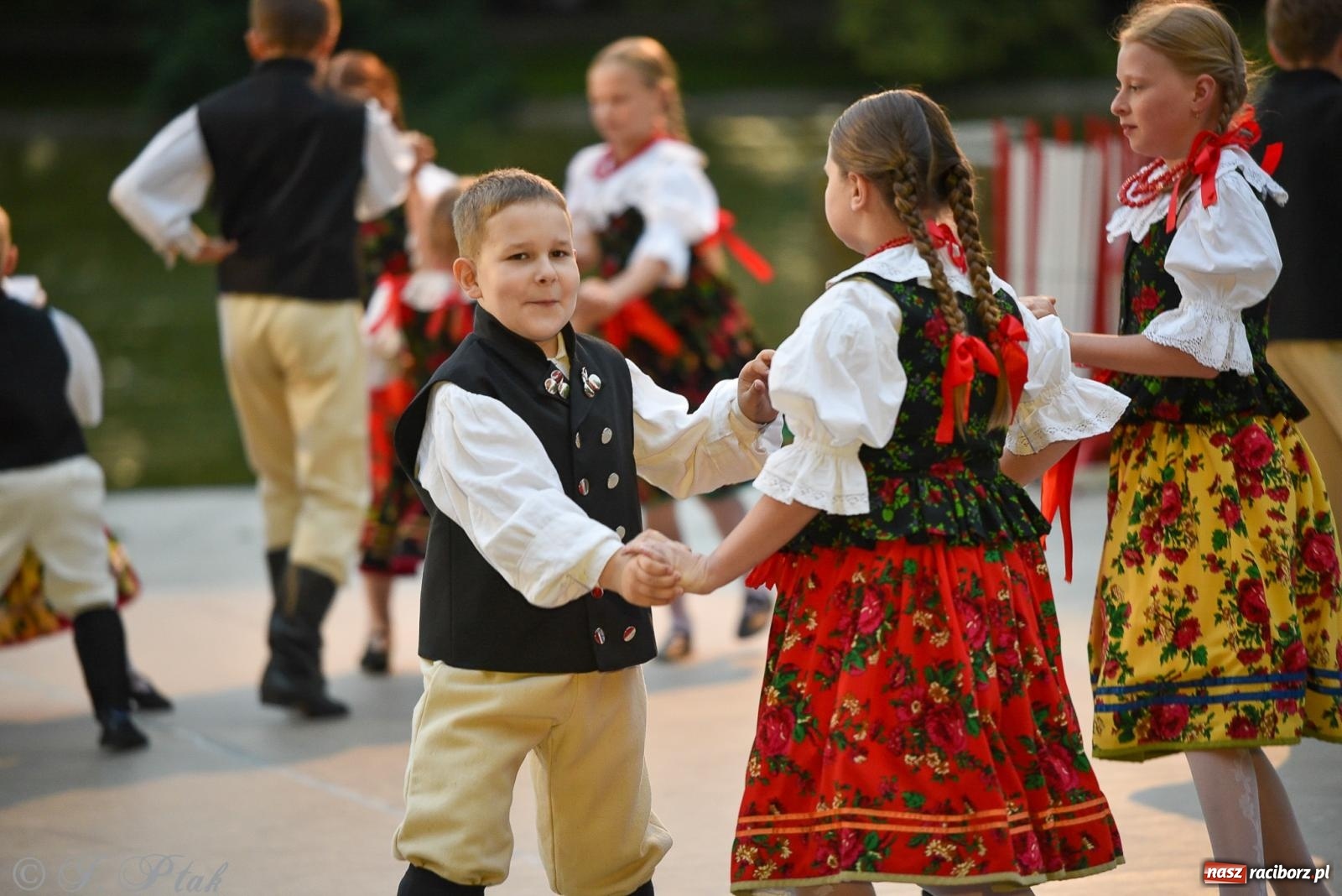 Zdjęcie w galerii na portalu naszraciborz.pl: W poszukiwaniu kwiatu paproci. Noc Świętojańska w parku im. Miasta Roth [FOTO i WIDEO] wiadomości z regionu