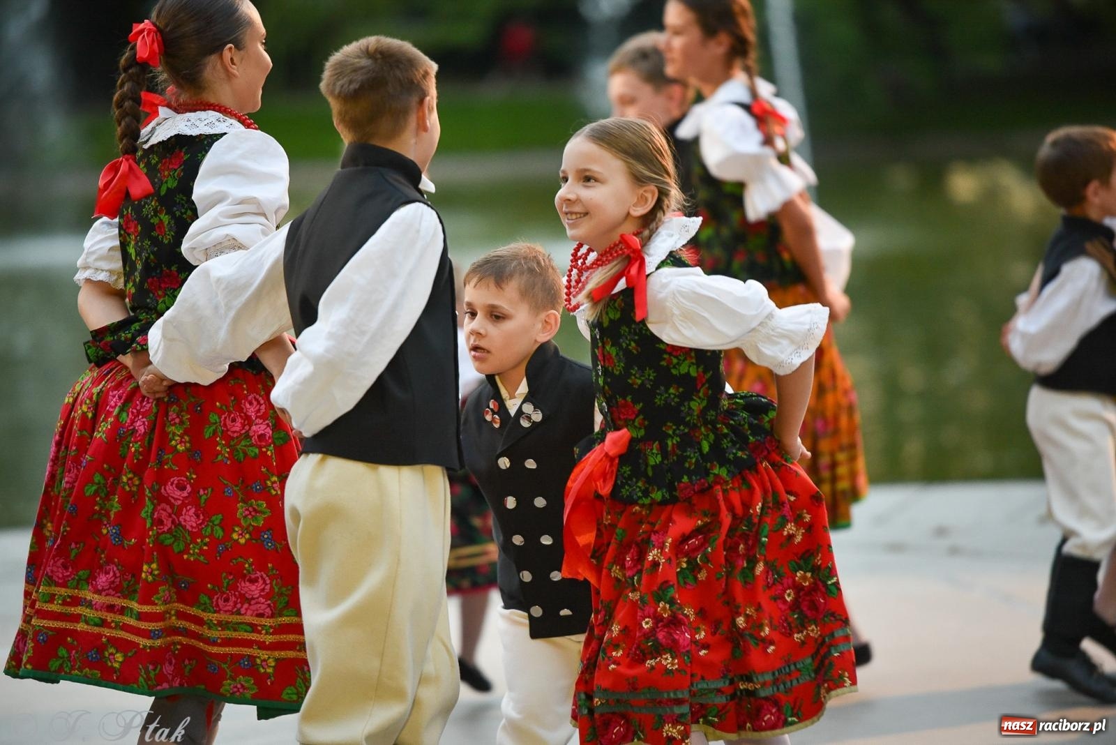 Zdjęcie w galerii na portalu naszraciborz.pl: W poszukiwaniu kwiatu paproci. Noc Świętojańska w parku im. Miasta Roth [FOTO i WIDEO] wiadomości z regionu