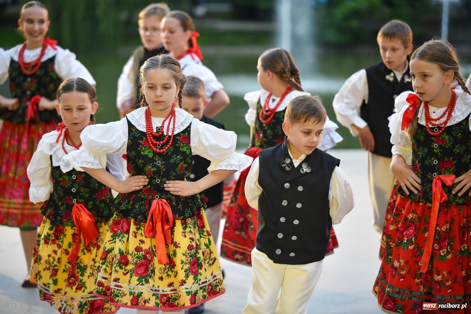Zdjęcie w galerii na portalu naszraciborz.pl: W poszukiwaniu kwiatu paproci. Noc Świętojańska w parku im. Miasta Roth [FOTO i WIDEO] wiadomości z regionu