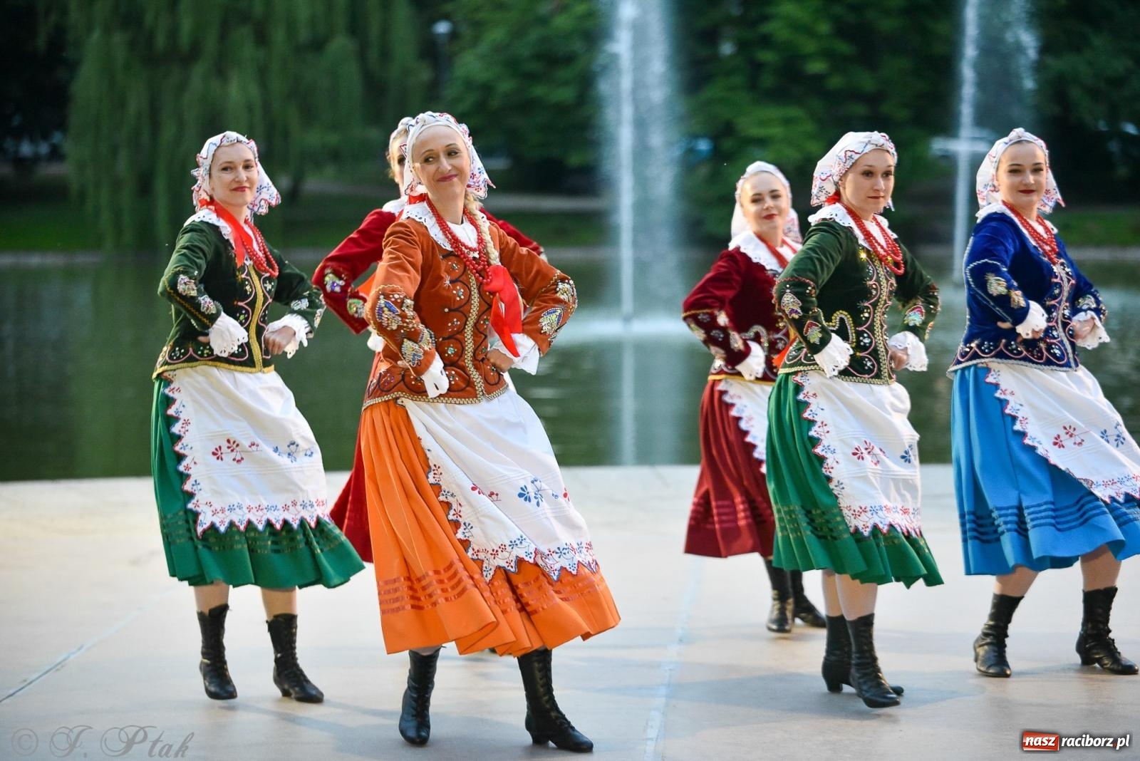 Zdjęcie w galerii na portalu naszraciborz.pl: W poszukiwaniu kwiatu paproci. Noc Świętojańska w parku im. Miasta Roth [FOTO i WIDEO] wiadomości z regionu