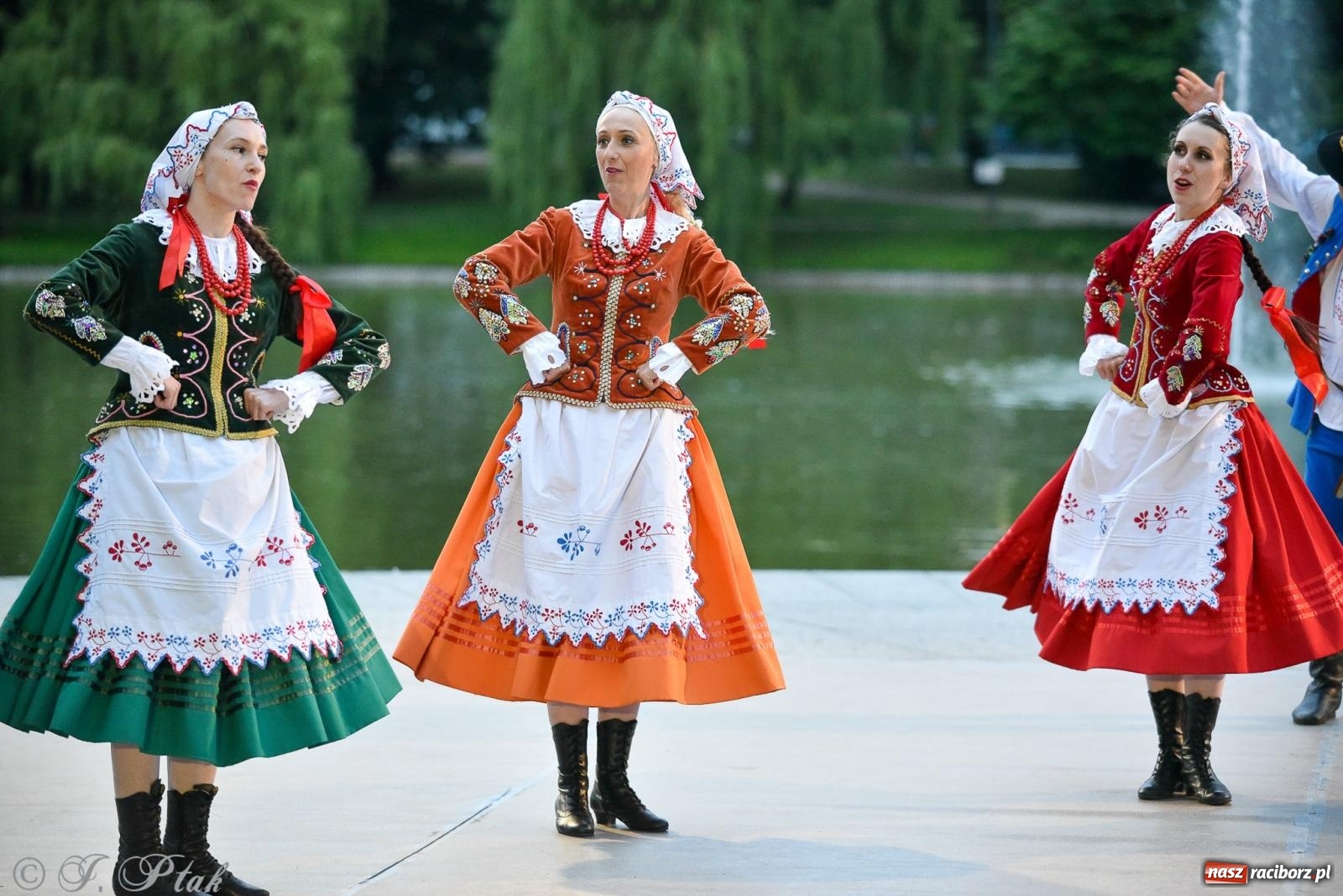 Zdjęcie w galerii na portalu naszraciborz.pl: W poszukiwaniu kwiatu paproci. Noc Świętojańska w parku im. Miasta Roth [FOTO i WIDEO] wiadomości z regionu