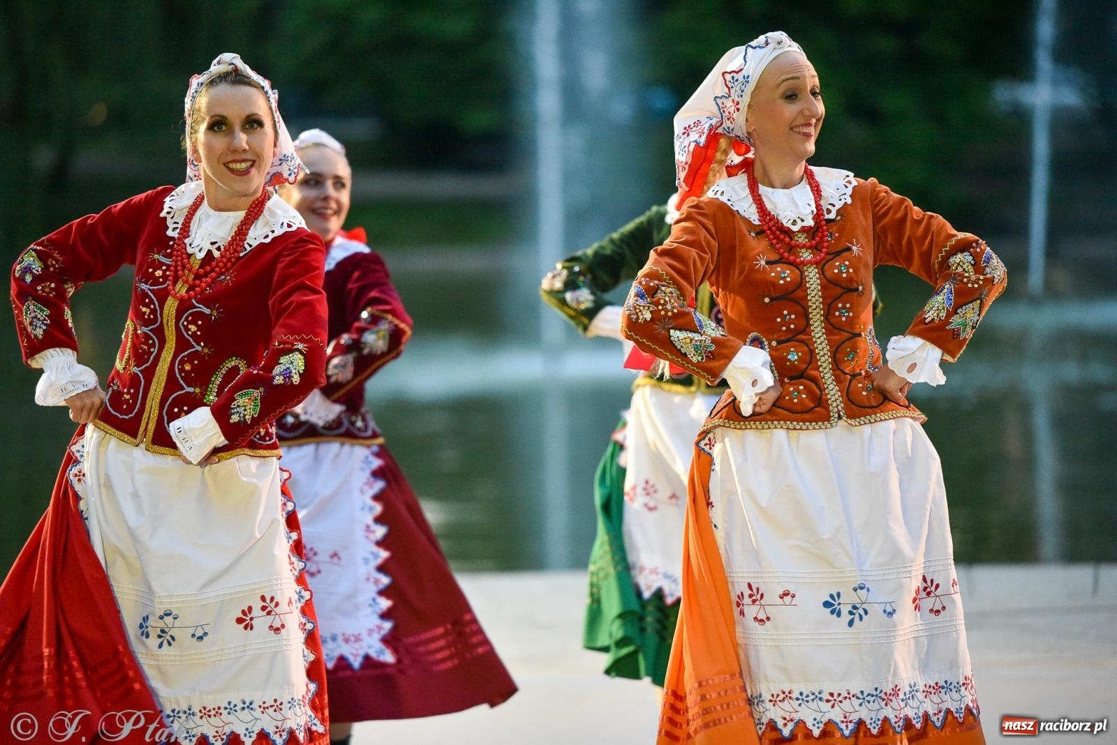 Zdjęcie w galerii na portalu naszraciborz.pl: W poszukiwaniu kwiatu paproci. Noc Świętojańska w parku im. Miasta Roth [FOTO i WIDEO] wiadomości z regionu