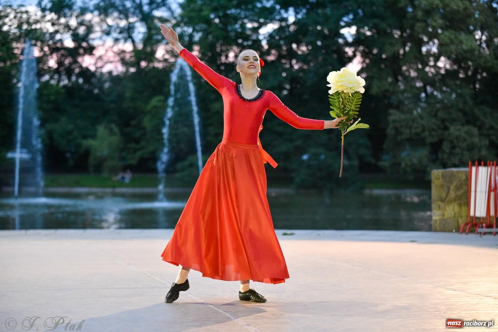 Zdjęcie w galerii na portalu naszraciborz.pl: W poszukiwaniu kwiatu paproci. Noc Świętojańska w parku im. Miasta Roth [FOTO i WIDEO] wiadomości z regionu
