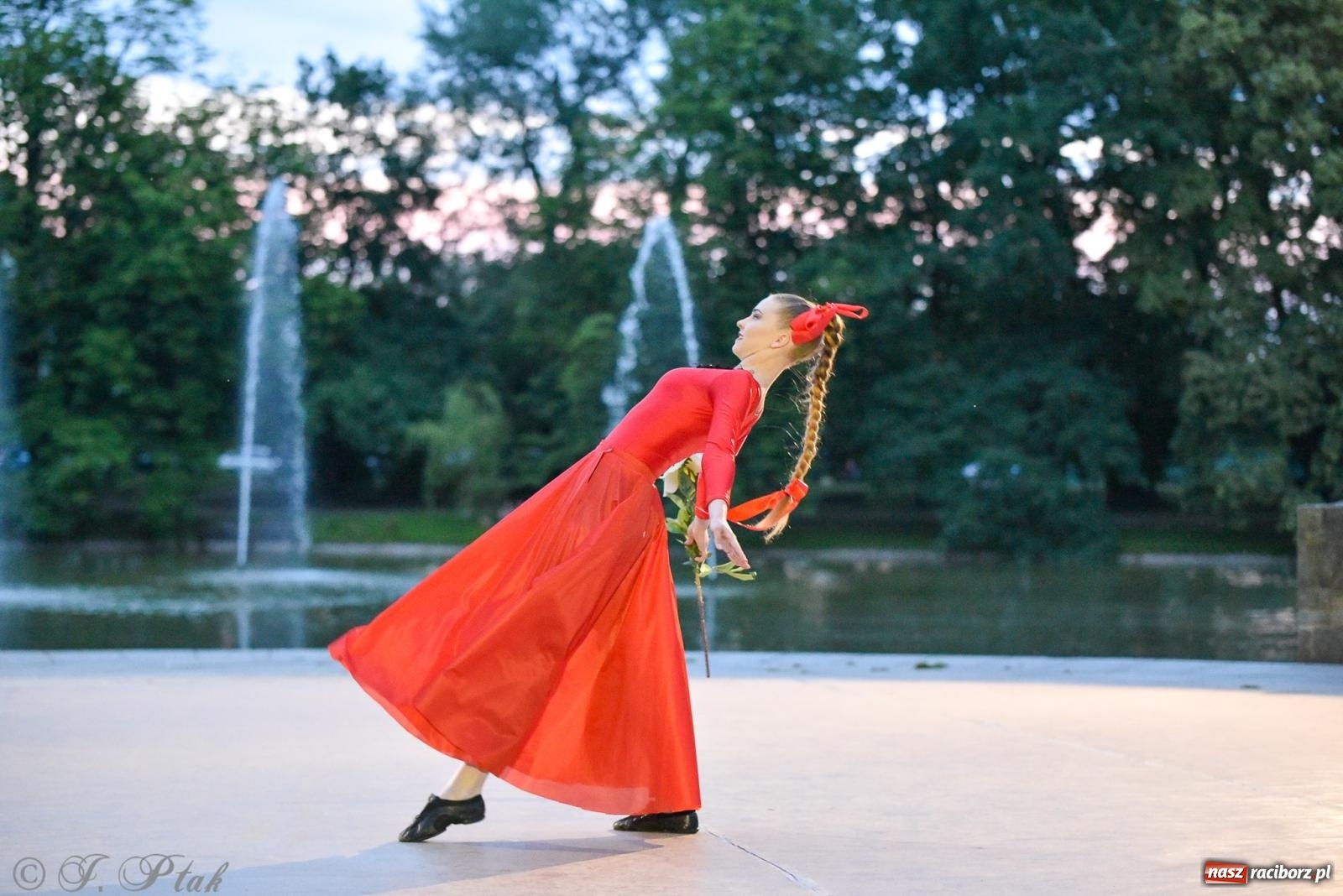 Zdjęcie w galerii na portalu naszraciborz.pl: W poszukiwaniu kwiatu paproci. Noc Świętojańska w parku im. Miasta Roth [FOTO i WIDEO] wiadomości z regionu