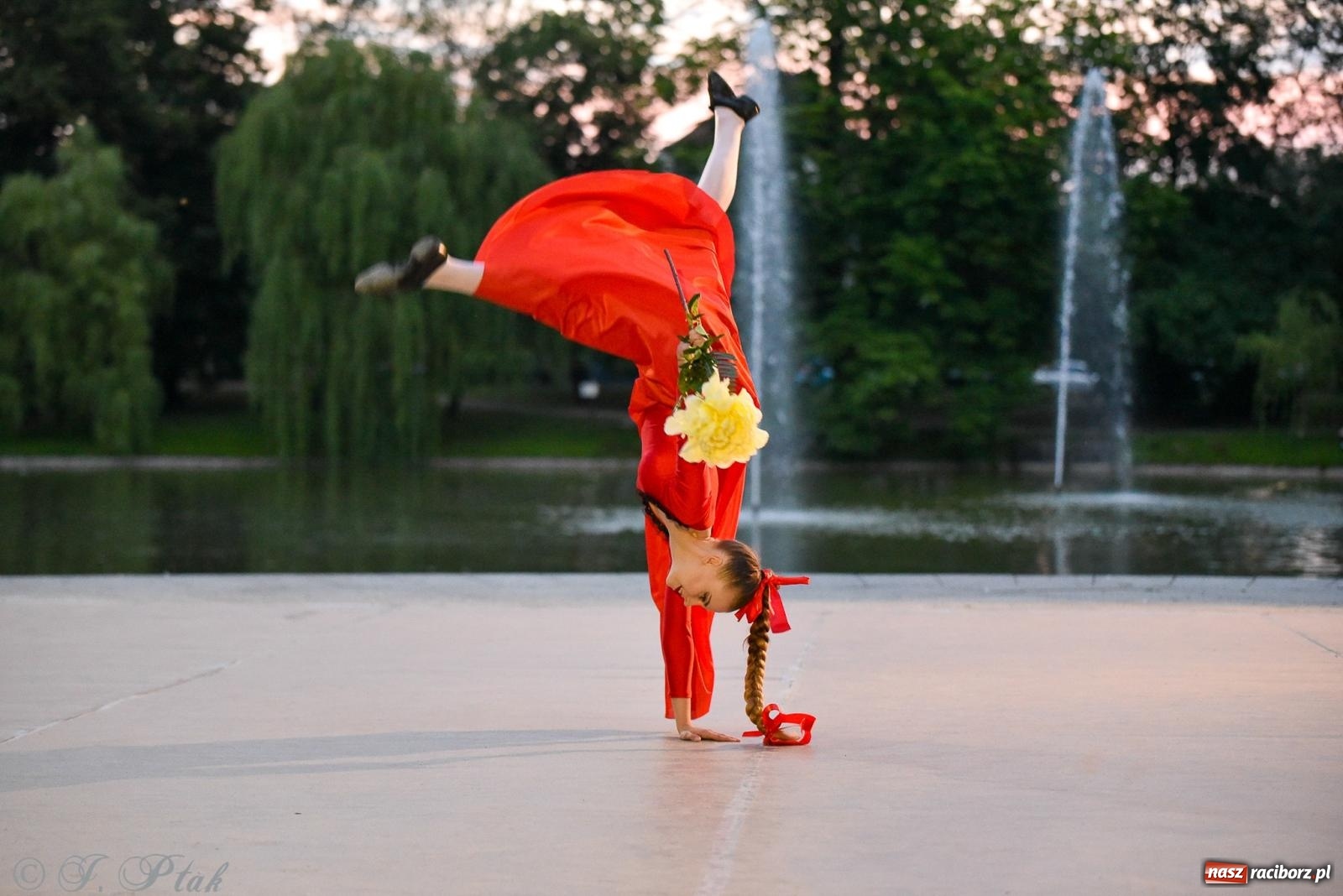 Zdjęcie w galerii na portalu naszraciborz.pl: W poszukiwaniu kwiatu paproci. Noc Świętojańska w parku im. Miasta Roth [FOTO i WIDEO] wiadomości z regionu