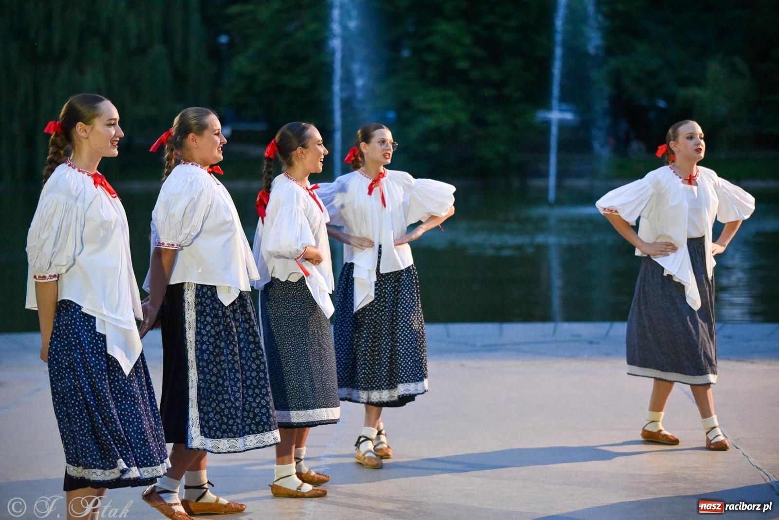 Zdjęcie w galerii na portalu naszraciborz.pl: W poszukiwaniu kwiatu paproci. Noc Świętojańska w parku im. Miasta Roth [FOTO i WIDEO] wiadomości z regionu