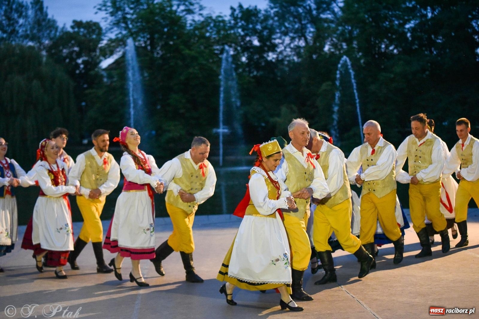 Zdjęcie w galerii na portalu naszraciborz.pl: W poszukiwaniu kwiatu paproci. Noc Świętojańska w parku im. Miasta Roth [FOTO i WIDEO] wiadomości z regionu