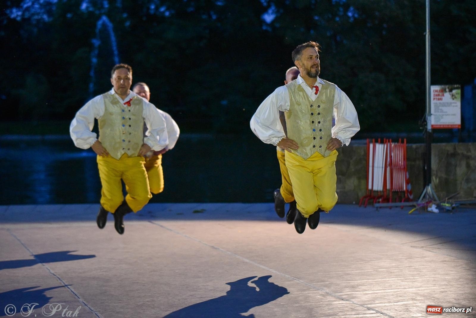 Zdjęcie w galerii na portalu naszraciborz.pl: W poszukiwaniu kwiatu paproci. Noc Świętojańska w parku im. Miasta Roth [FOTO i WIDEO] wiadomości z regionu